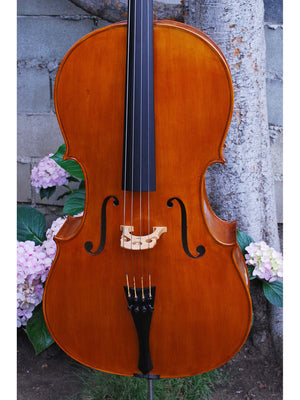 Calin Wultur Model #5 'Piatti Strad' 4/4 Cello - used