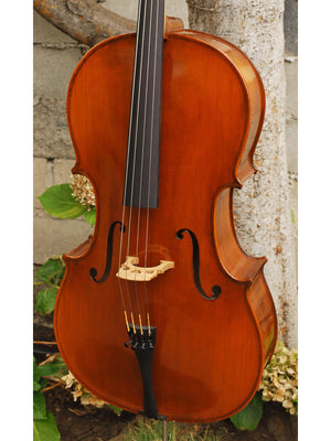 Eastman model 315 3/4 Cello
