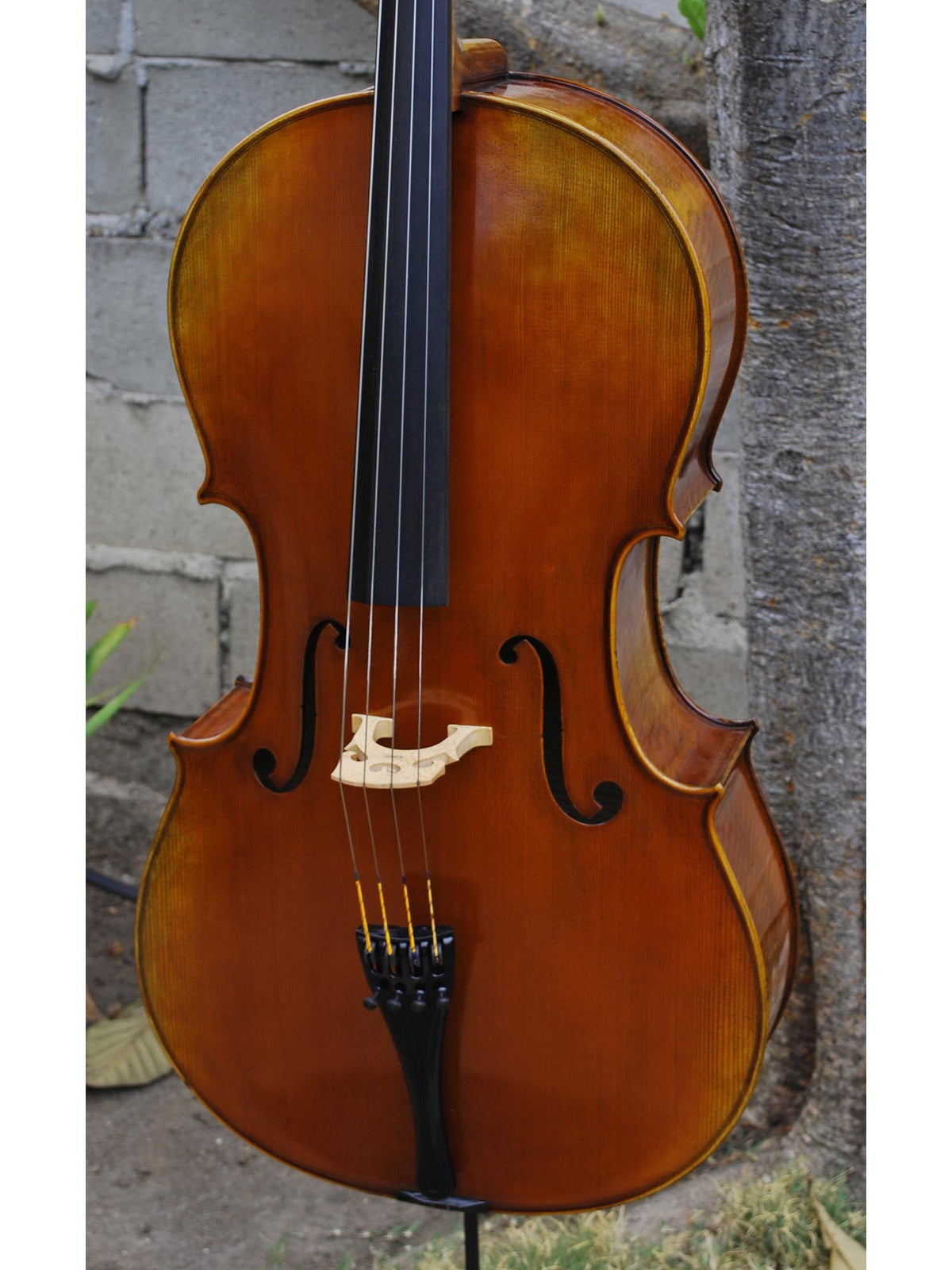 Antonio Fiorini 650 'Stradivari' - 7/8 Cello