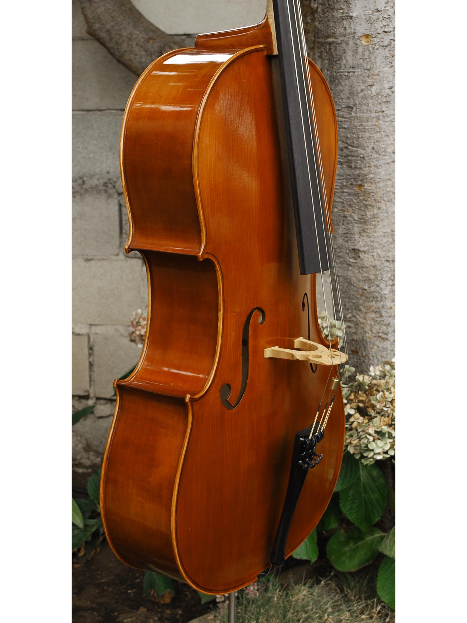 Nicholas Baciu #5 7/8 Cello (Romania) (121584)