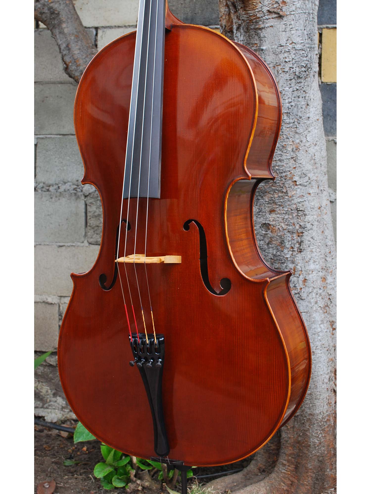 C.L. Wynn 520 'Strad' 7/8 Cello