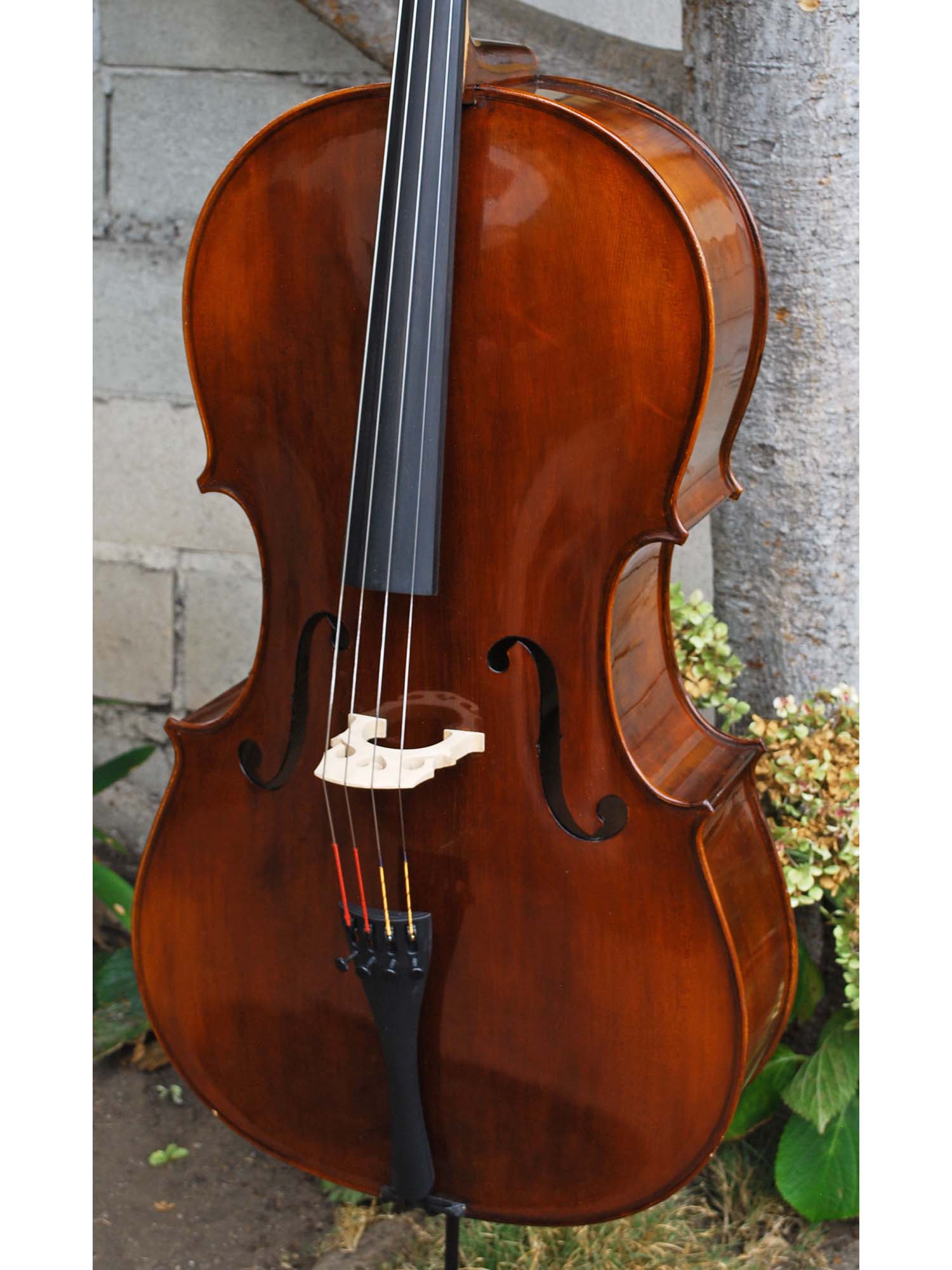 Eastman model 305 'Strad'  - 4/4 Cello (B)
