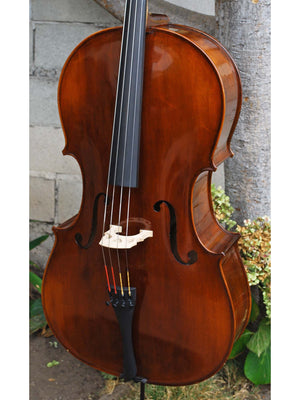 Eastman model 305 'Strad'  - 4/4 Cello (B)