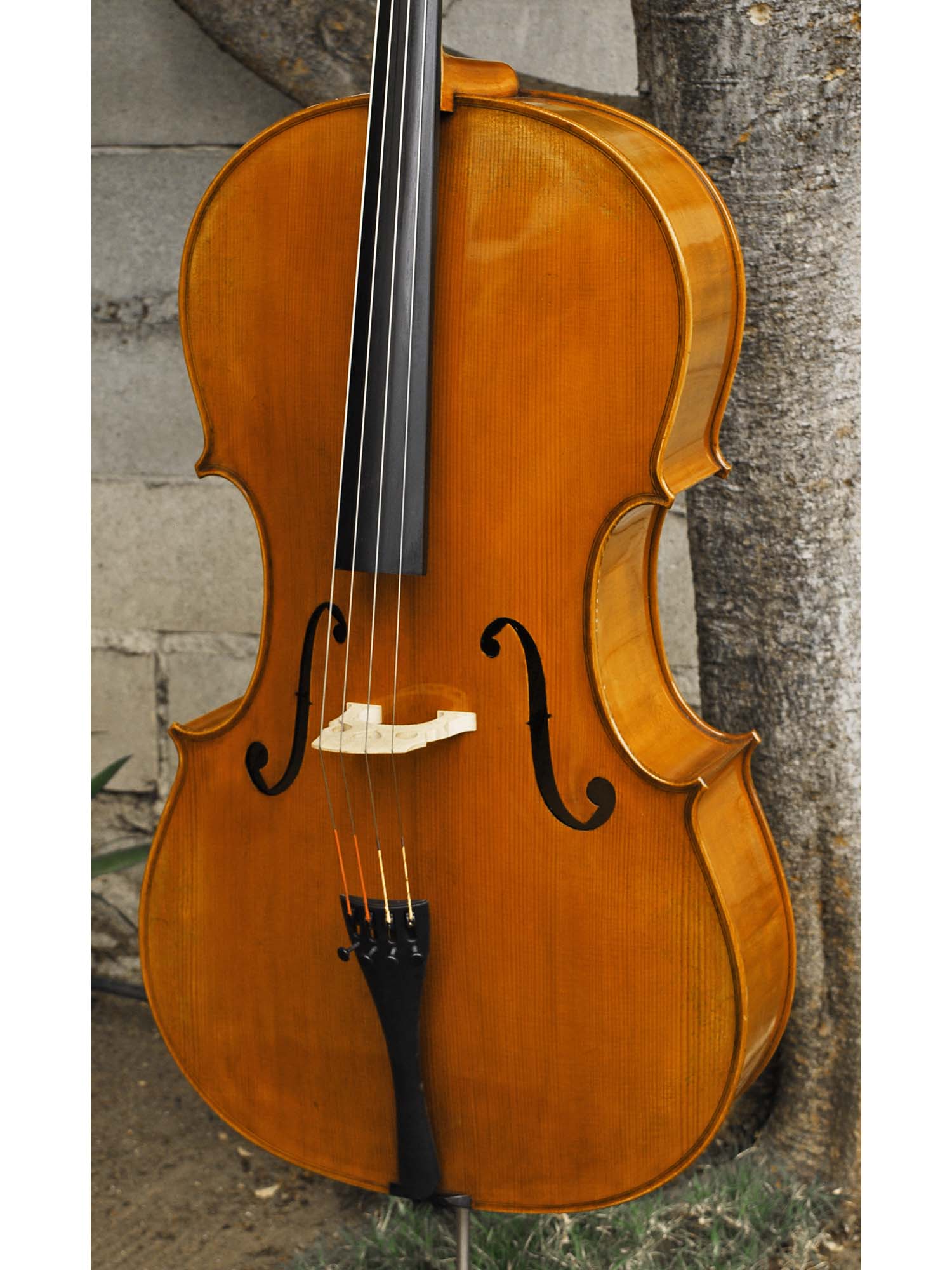 Albert Nebel model 601 'Guarneri del Gesu' - 4/4 Cello