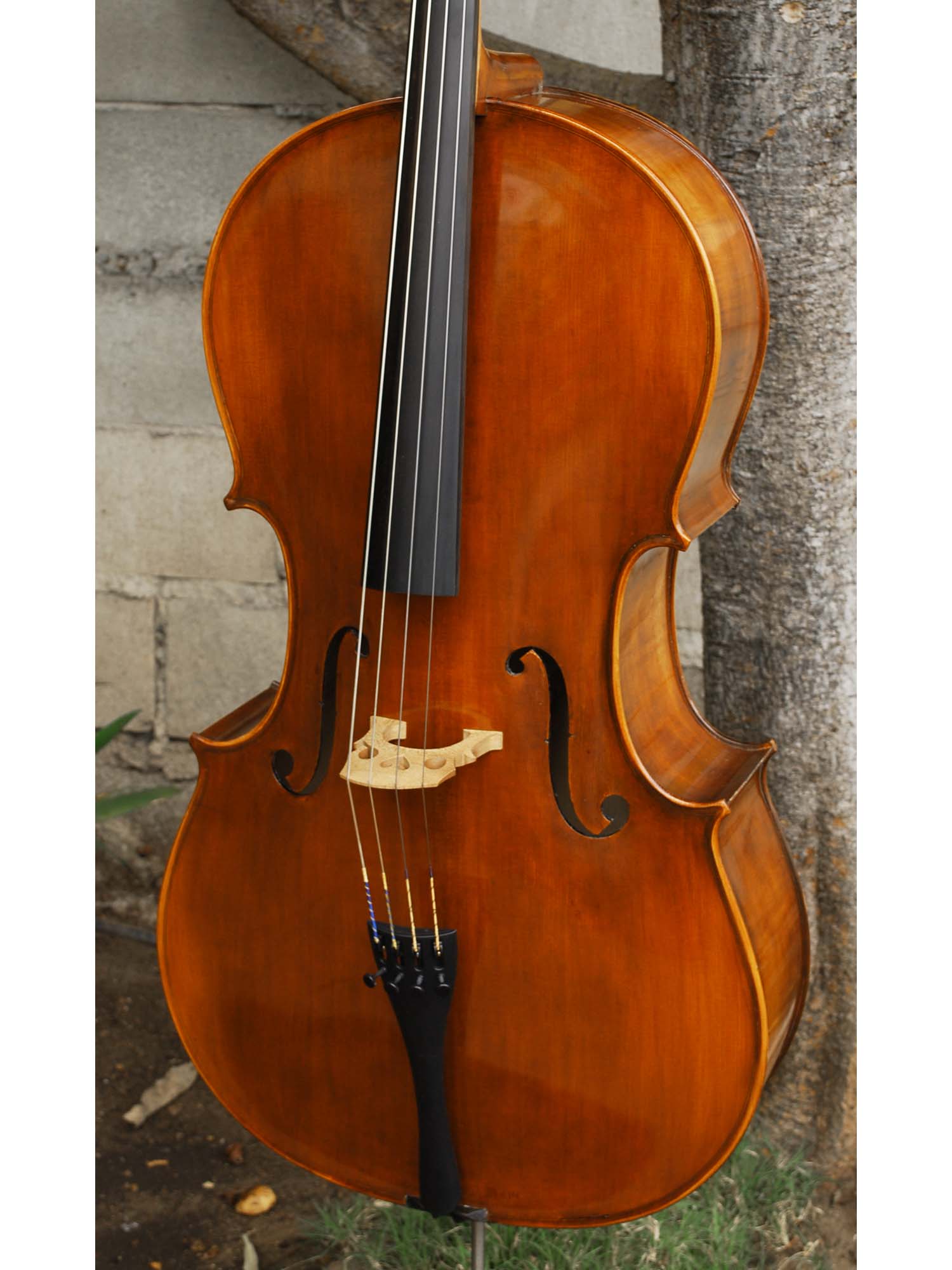 Eastman model 315 4/4 Cello