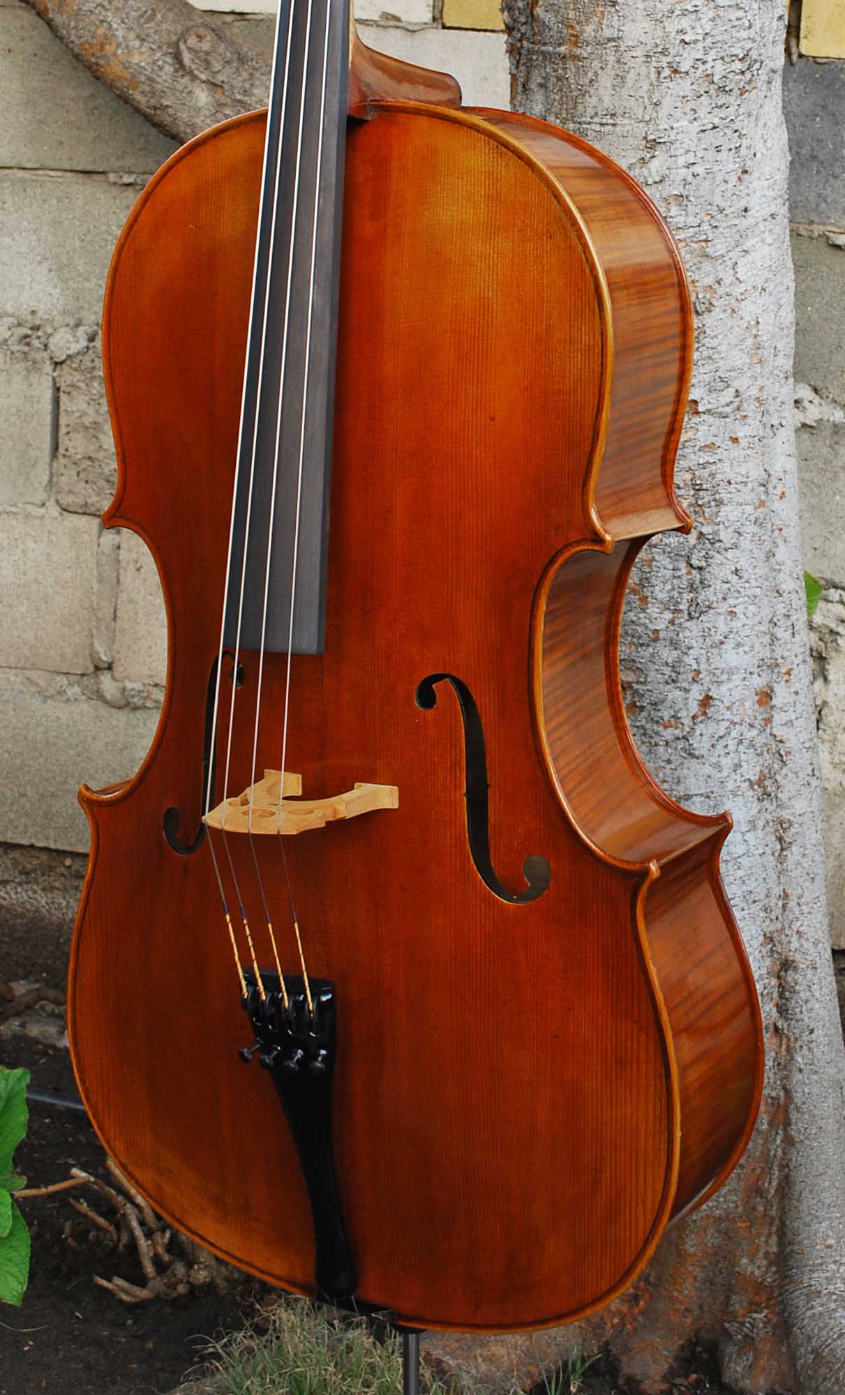 Vivo model 20EG Guadagnini 1777 Replica 4/4 Cello (B)