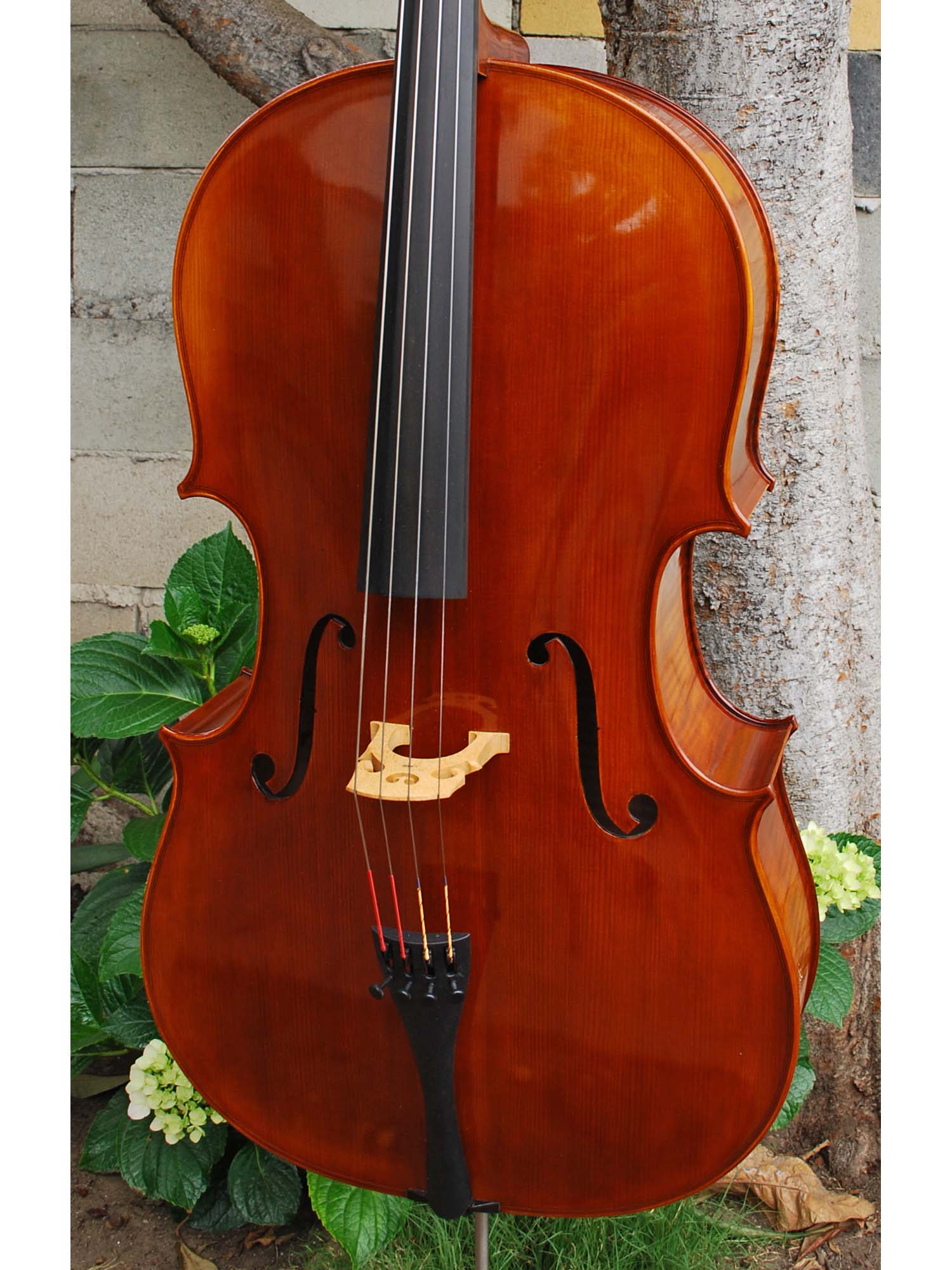 C.L. Wynn 520 'Montagnana' - 4/4 Cello