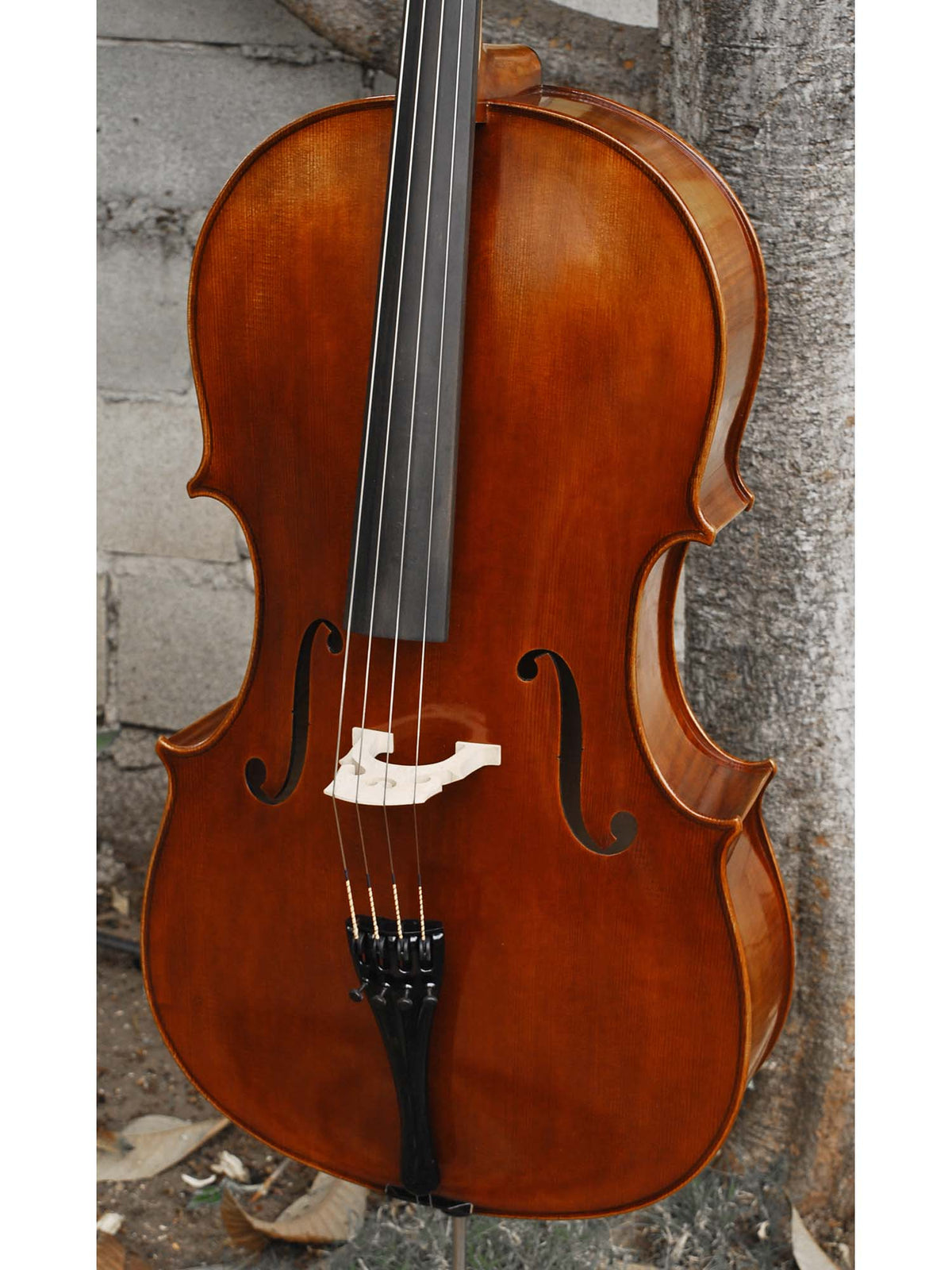 Vivo Guadagnini 1777 'Simpson' Replica 4/4 Cello (26024)