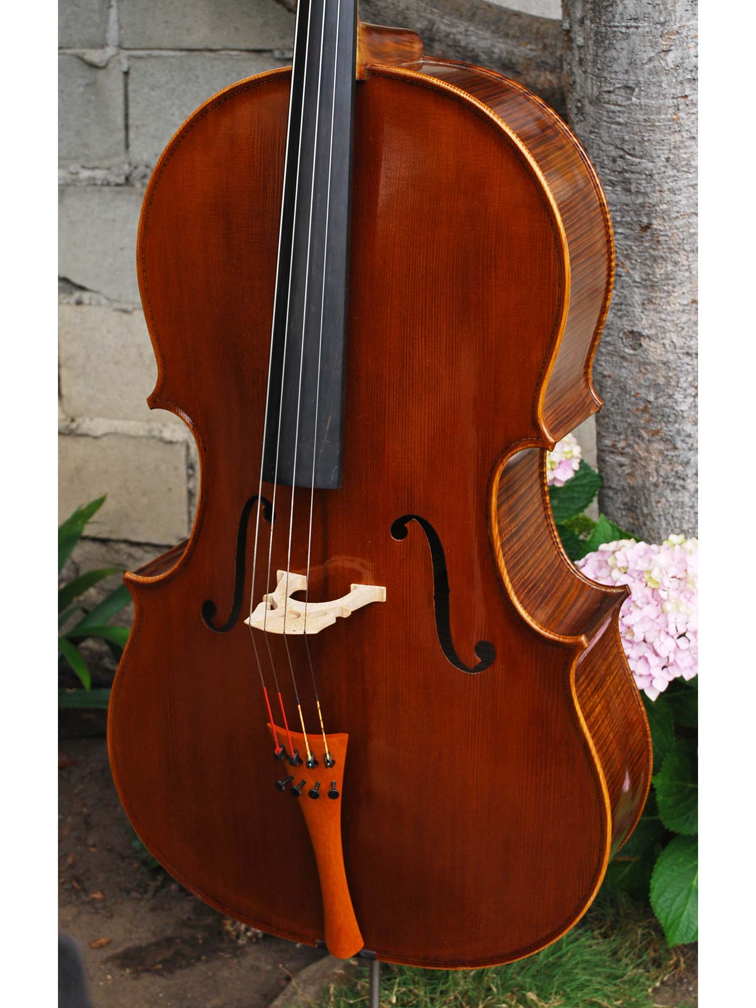 Tadeusz Slipek Master 'Jacobs' 4/4 Cello.
