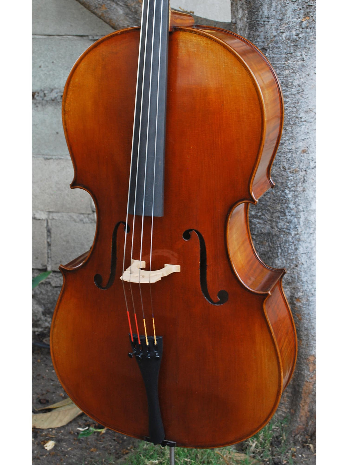 Vivo Limited Eurowoods 'Stradivari' 4/4 Cello