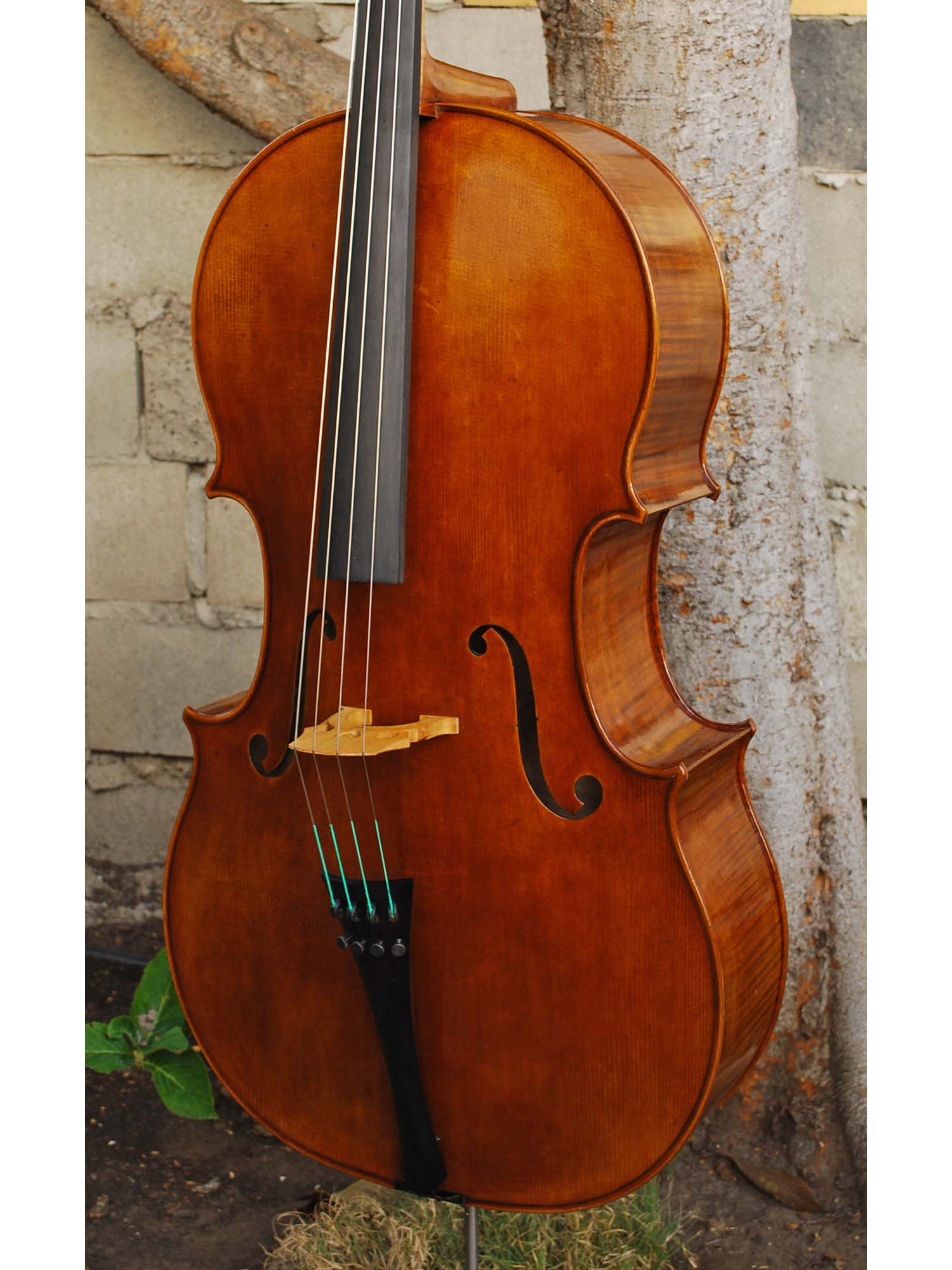 Vivo Special Eurowoods 4/4 Cello