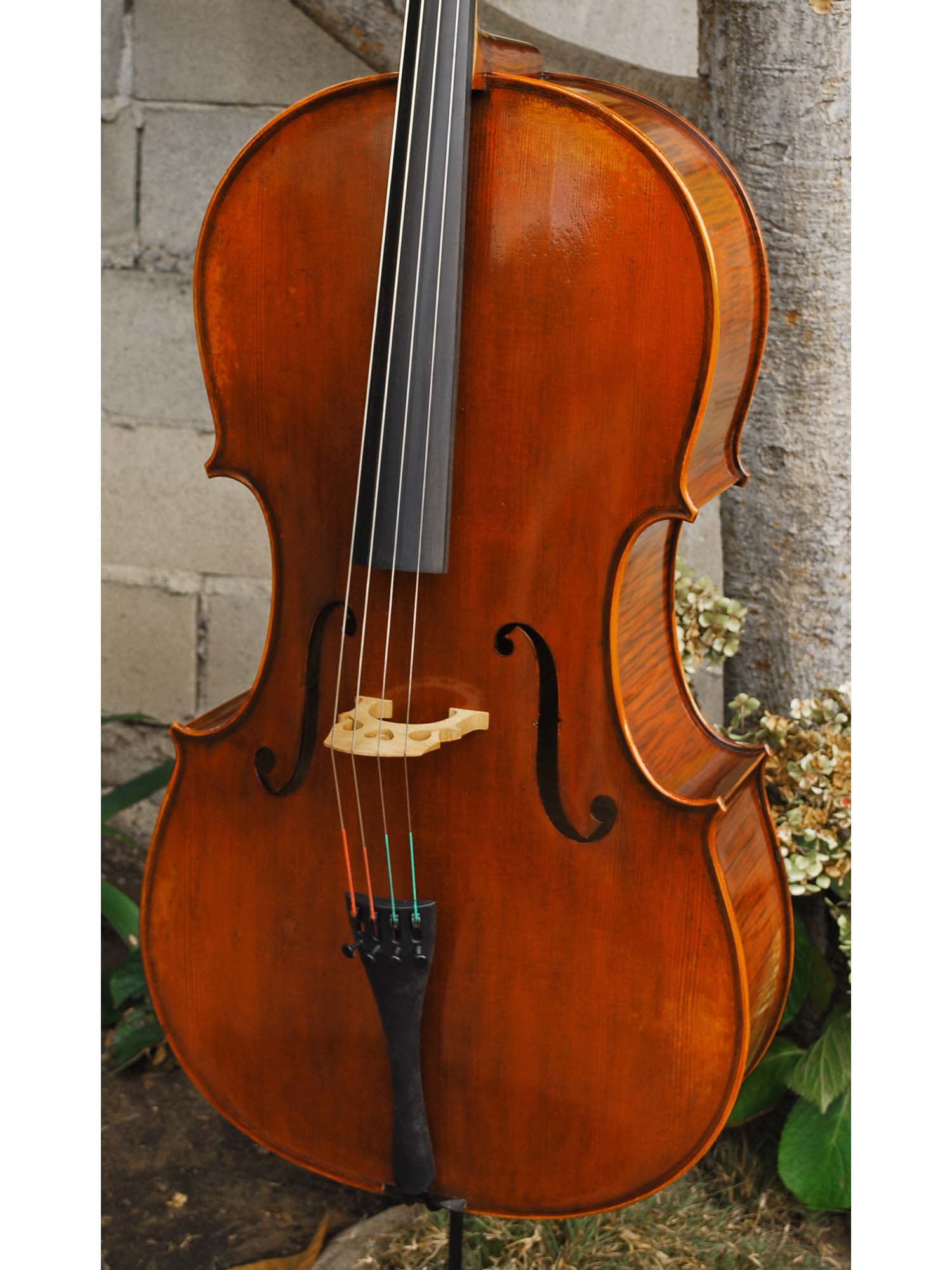 Ivan Dunov model 401 'Strad'  - 4/4 Cello (A)