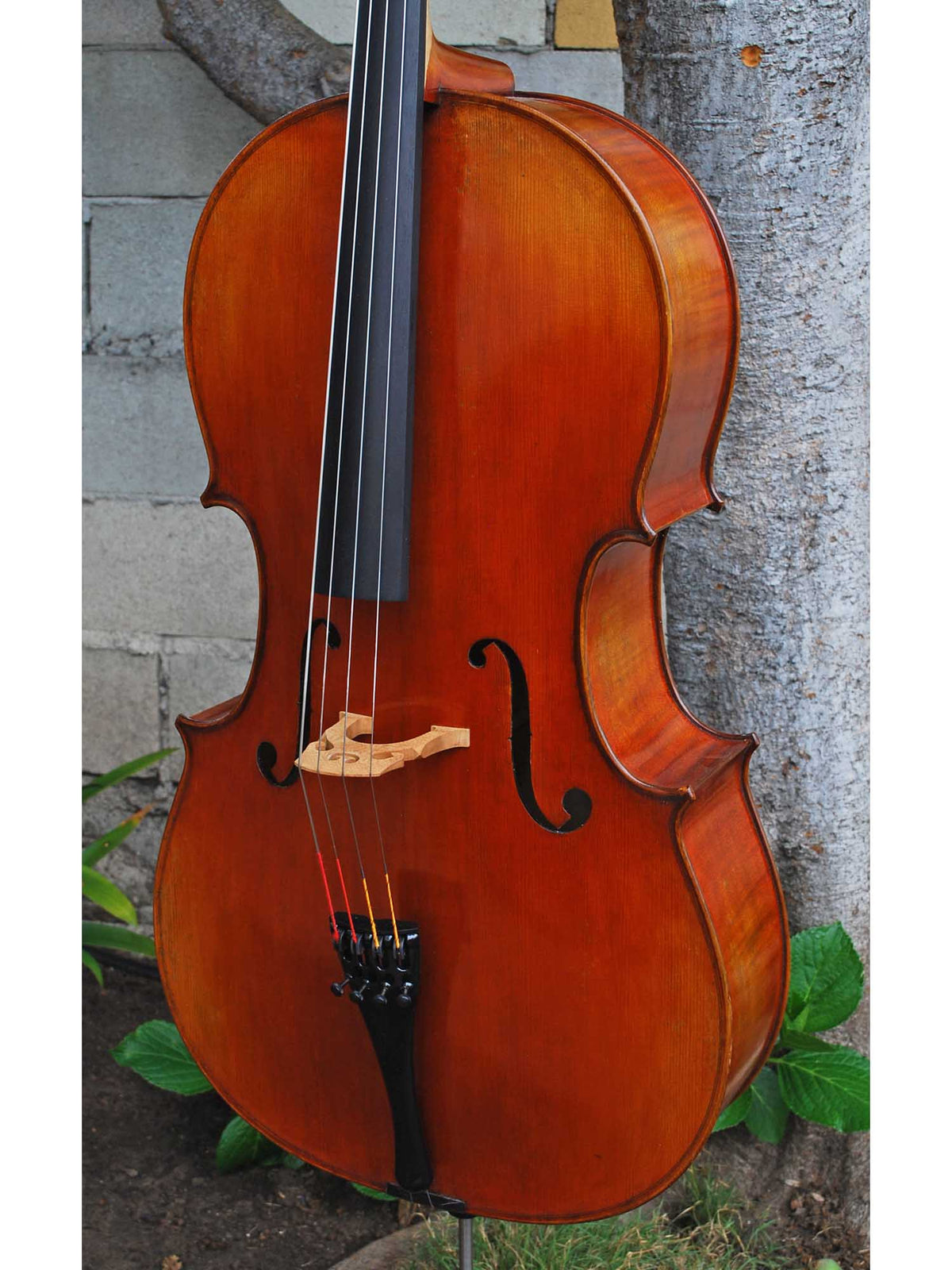 Vivo Limited 7/8 Cello