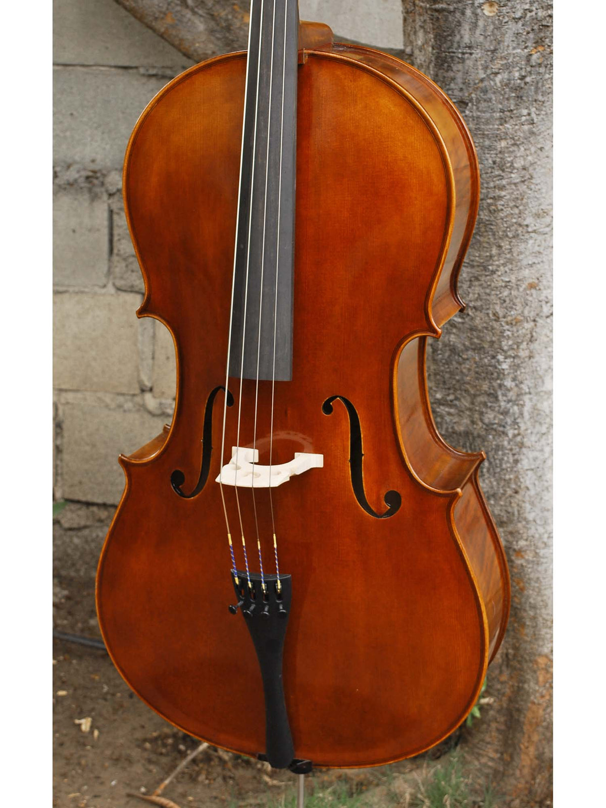 Vivo model 400 'Strad' 7/8 Cello