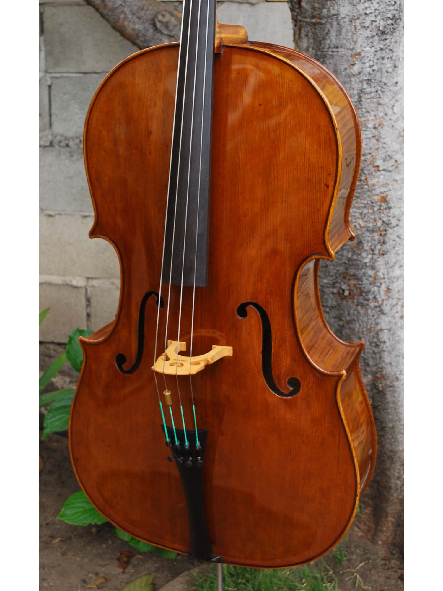 Wojciech Topa Master 4/4 Cello