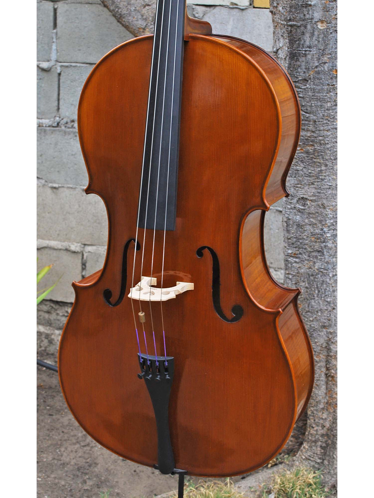 C.L. Wynn 520 'Strad' 7/8 Cello