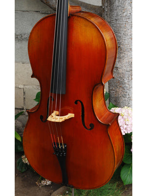 Vivo Limited 7/8 Cello