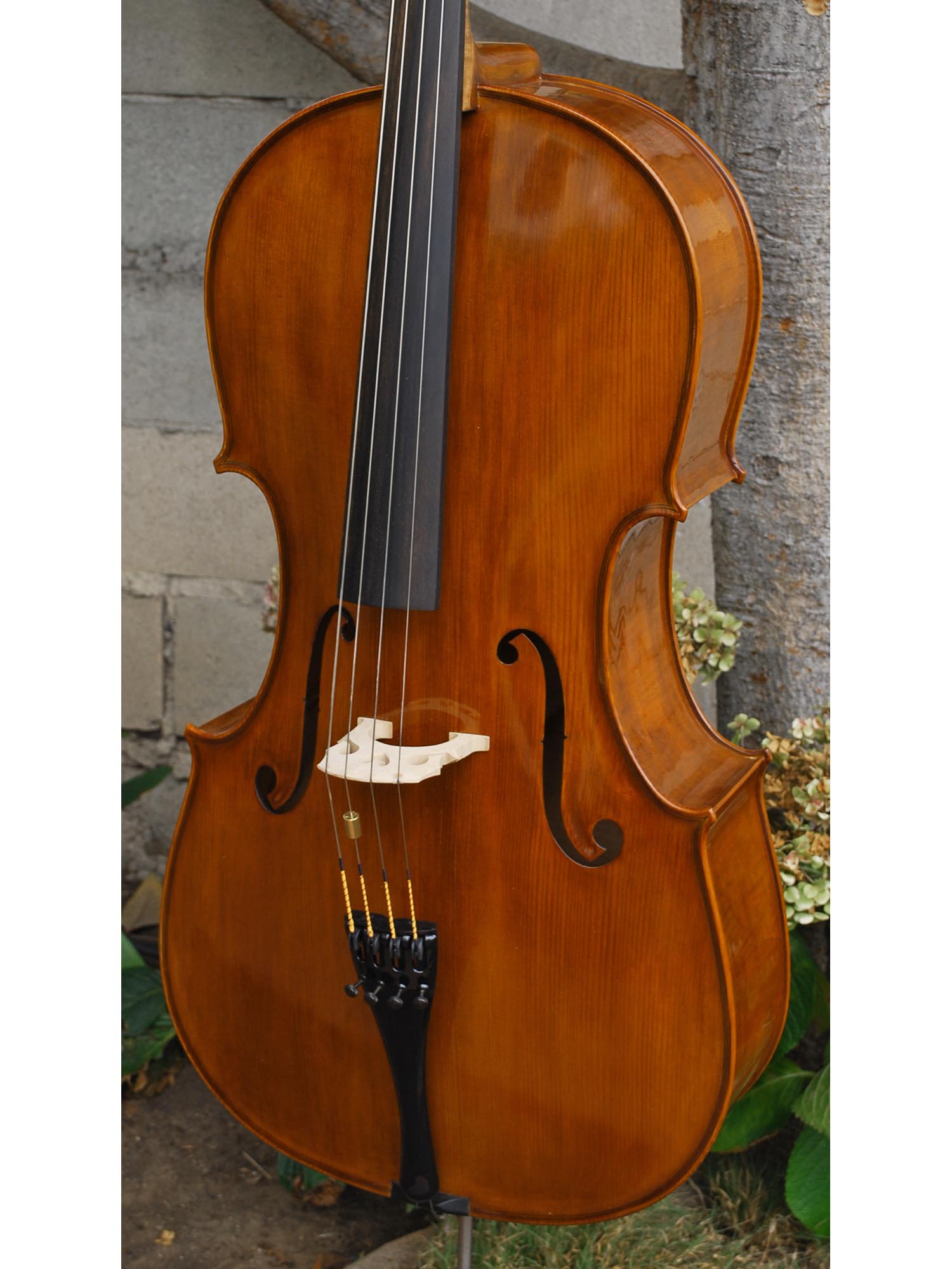 Viktor Resca #5 7/8 Cello (Romania)