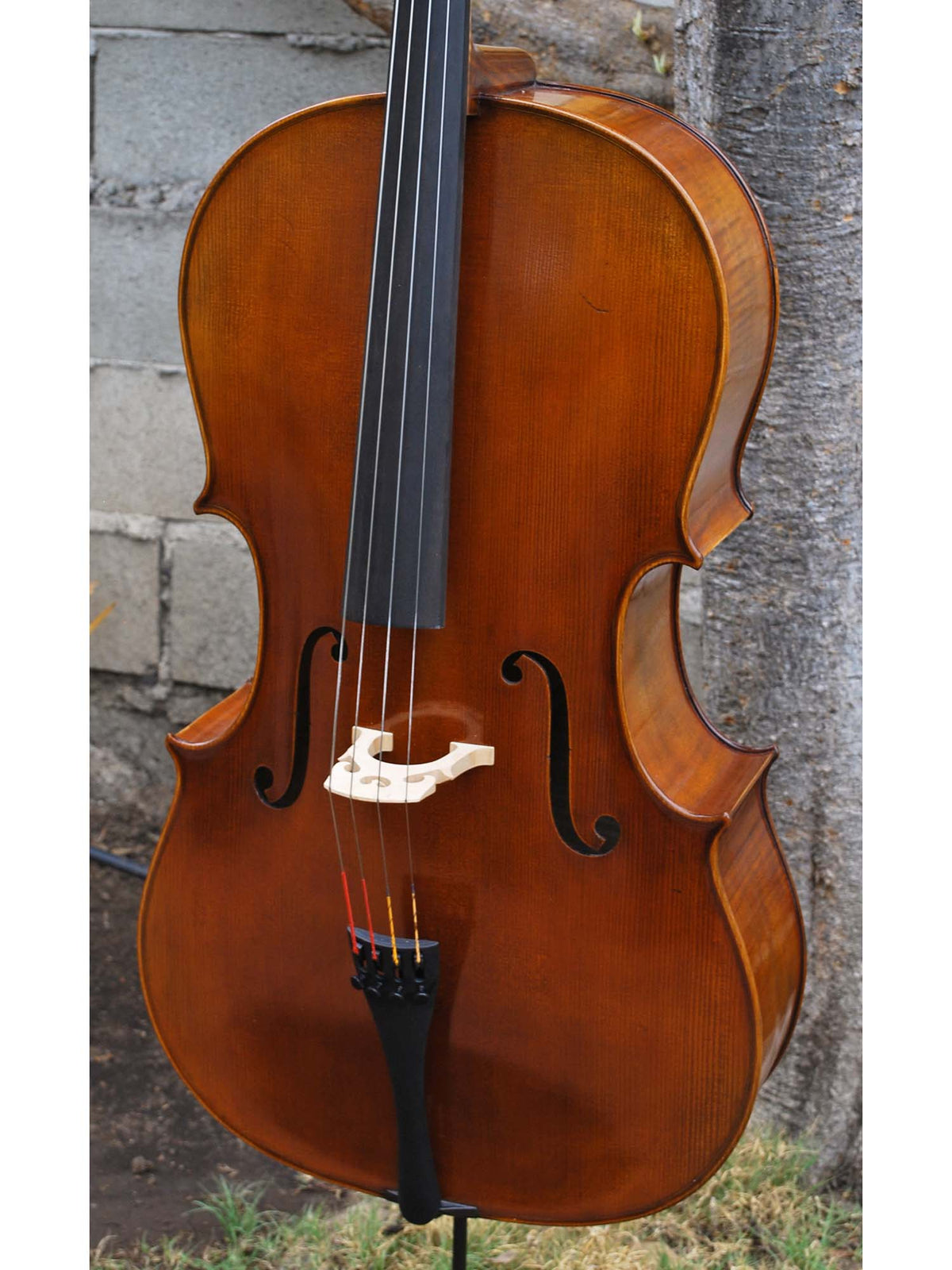 C.L. Wynn 620 'Rogeri' 4/4 Cello