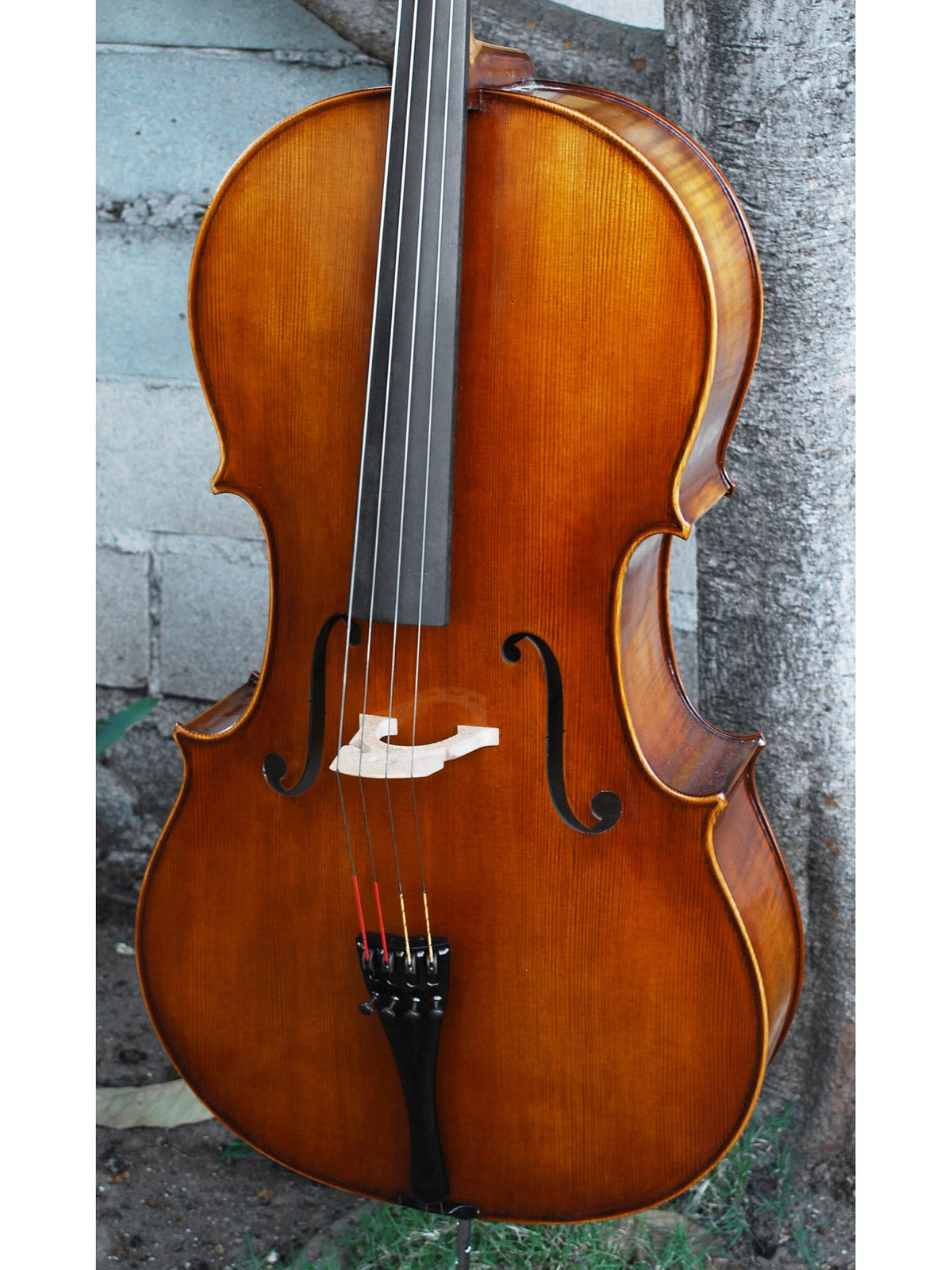 Tomasz Kowalski Workshop 4/4 Cello