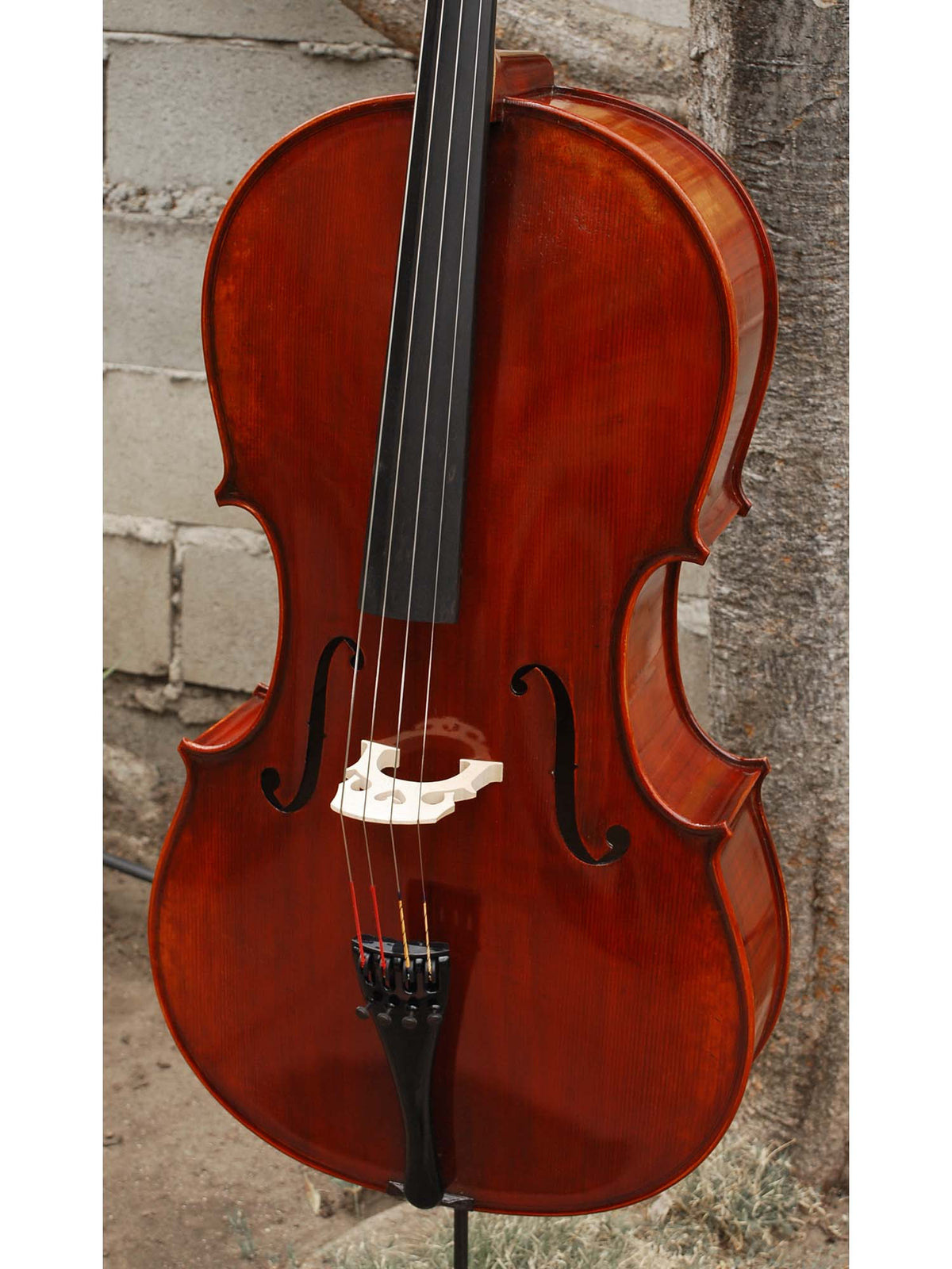 Jean-Pierre Lupot 'Strad' model 501 - 7/8 Cello