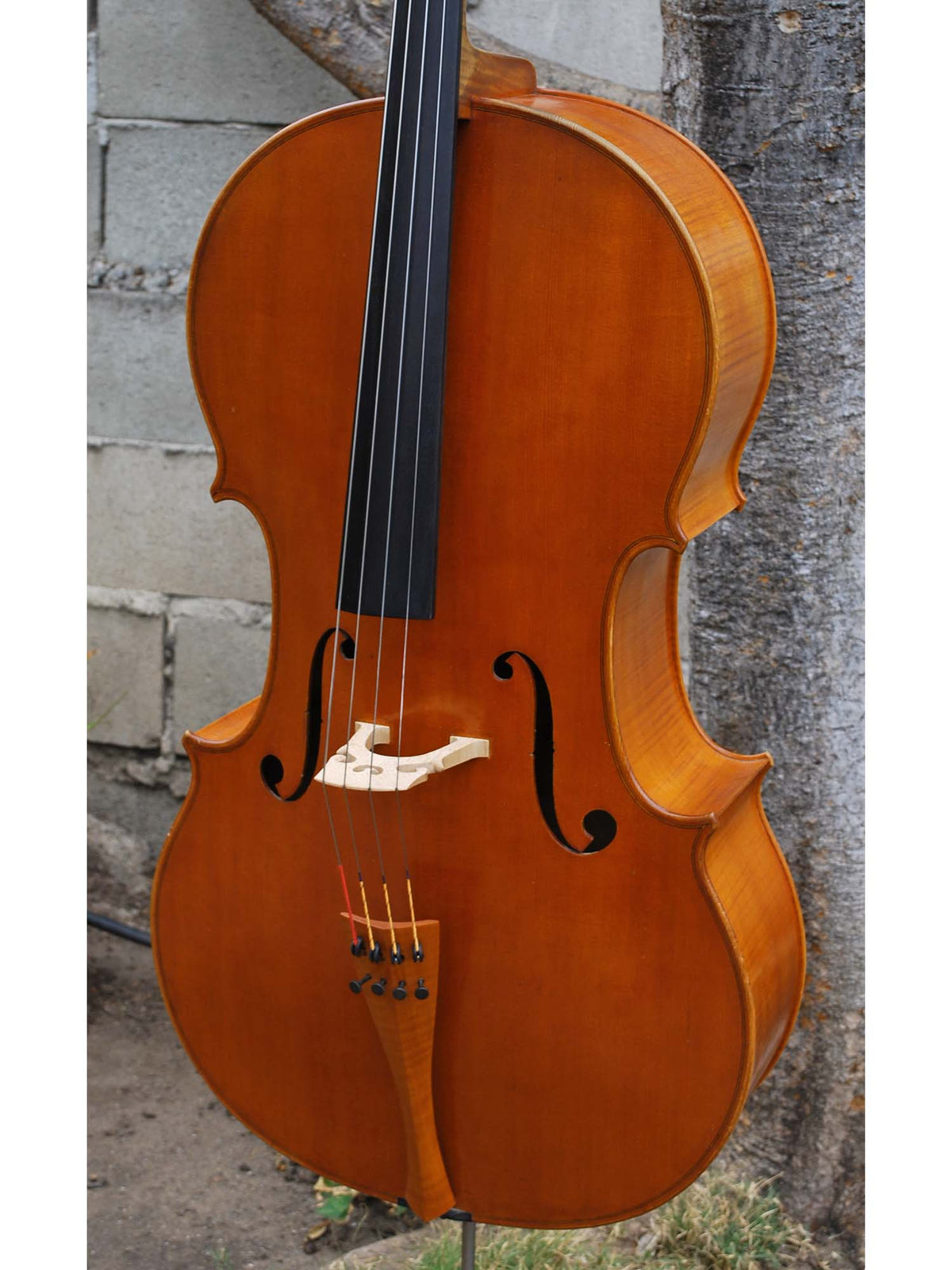 A.D. McDermott 1980's - 4/4 Cello