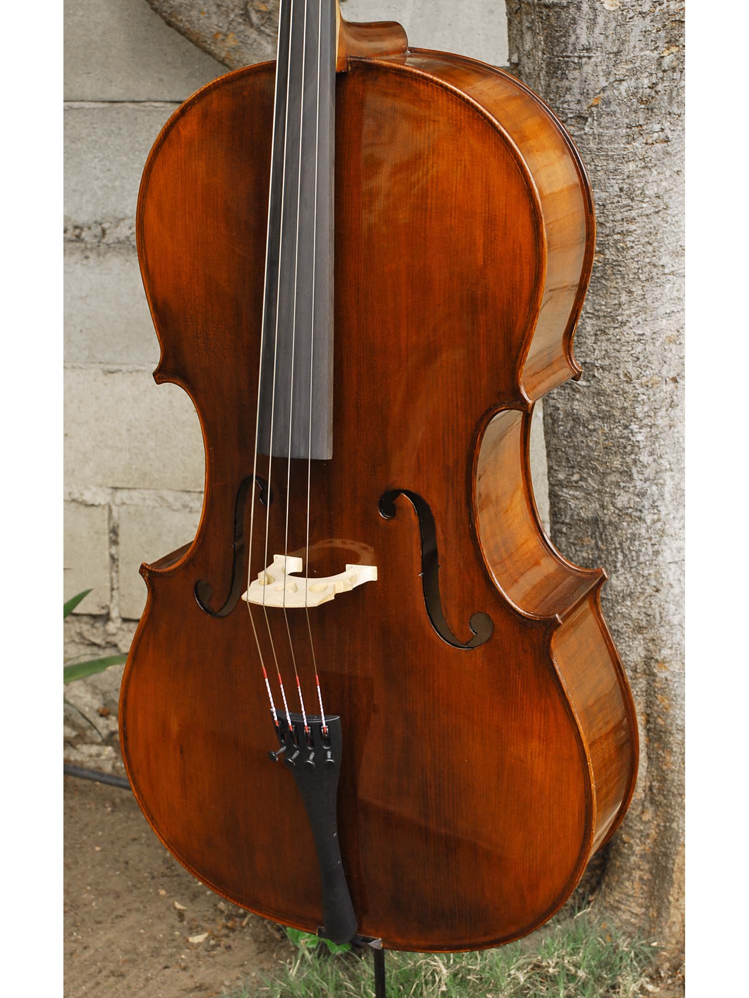 Eastman model 305 'Strad'  - 4/4 Cello (A)