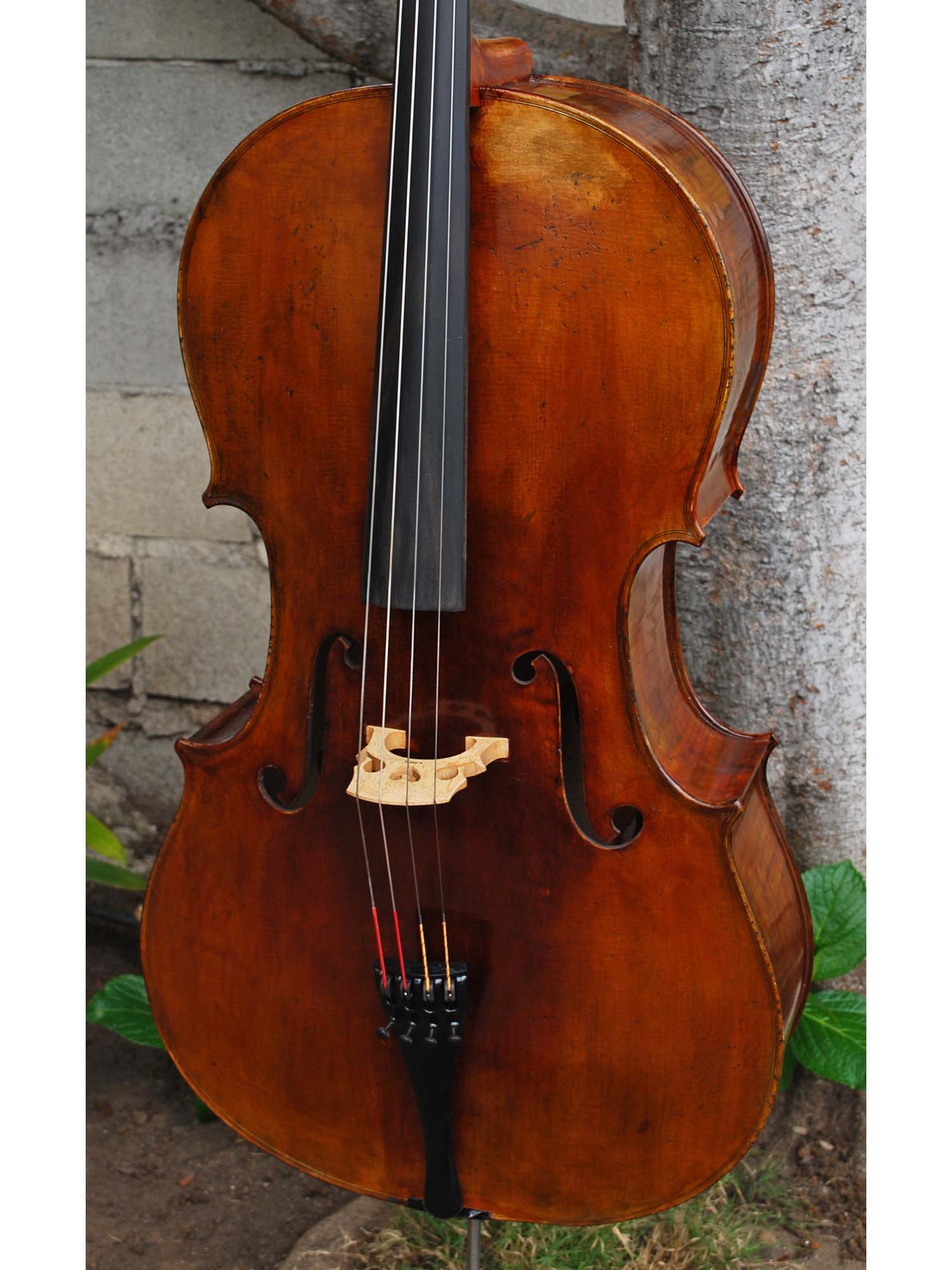 New and Used Cellos - Linda West Cellos