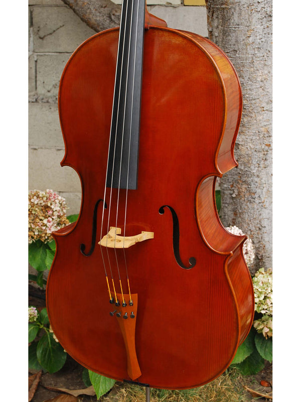 frontDSC_0019_600x.jpg?v=