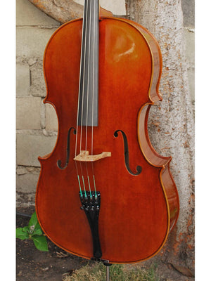 Vivo model 20EG Guadagnini 1777 Replica 4/4 Cello