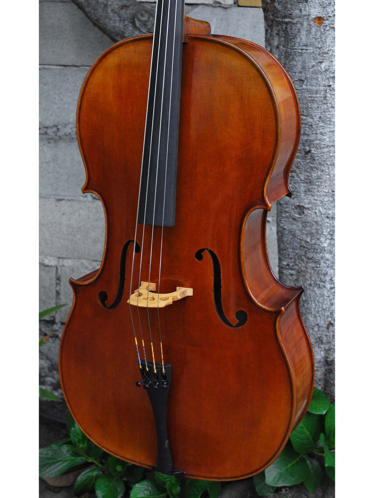 Vivo Strad model 250 3/4 Cello - slightly used