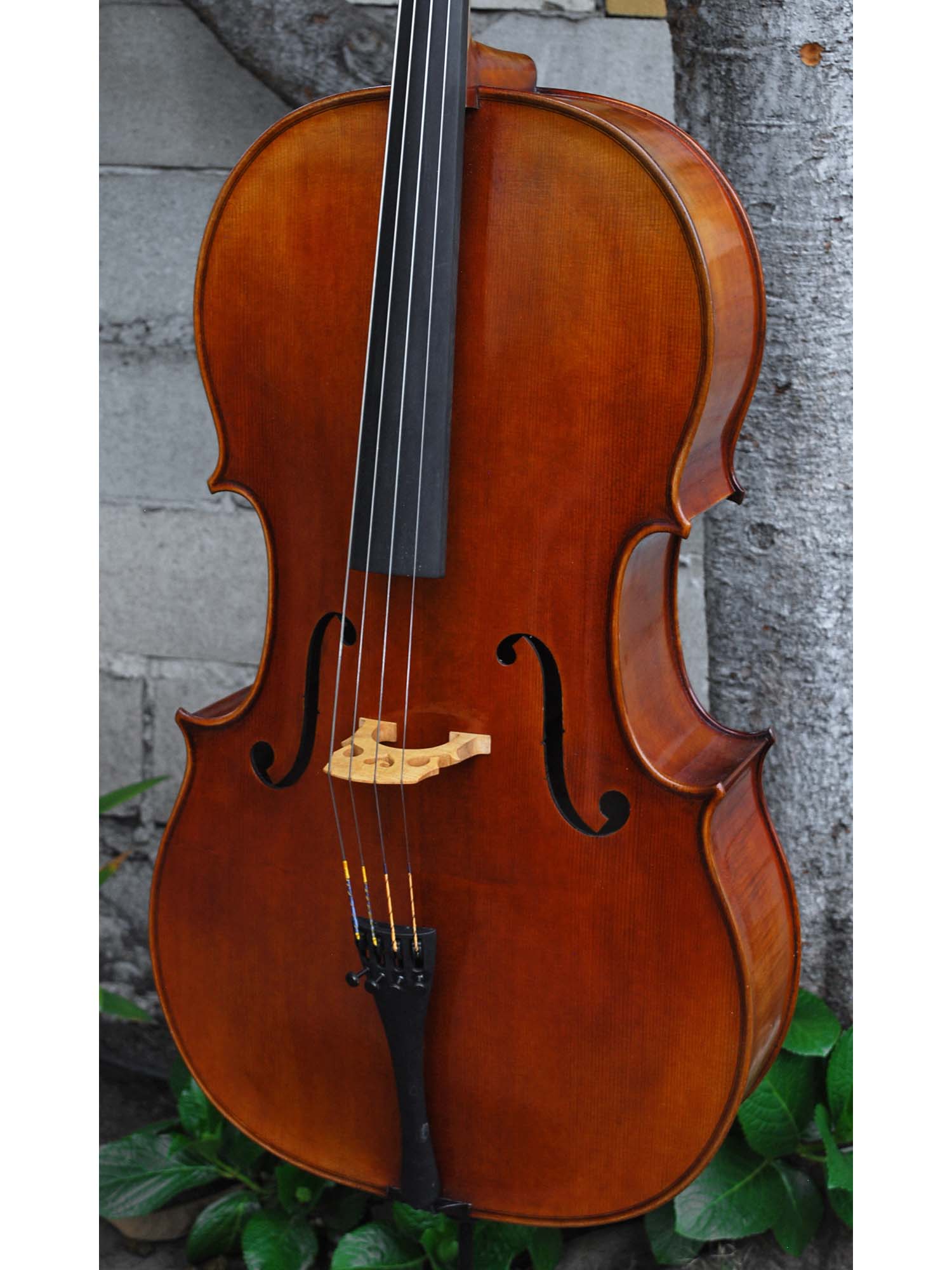 Vivo Strad model 250 3/4 Cello - slightly used