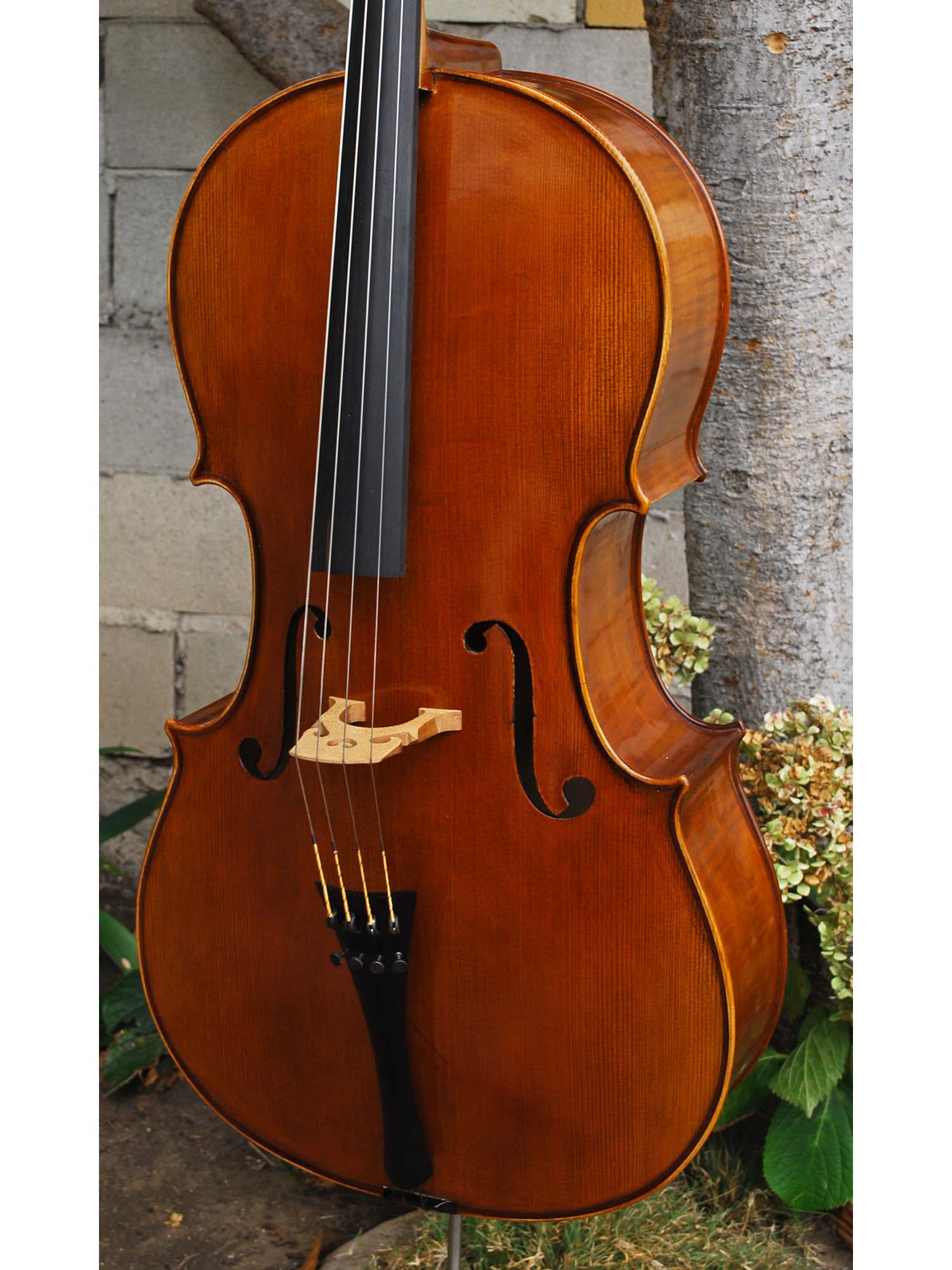 Bieg Company Geigenbau 'Stradivari' model 5 - 4/4 Cello
