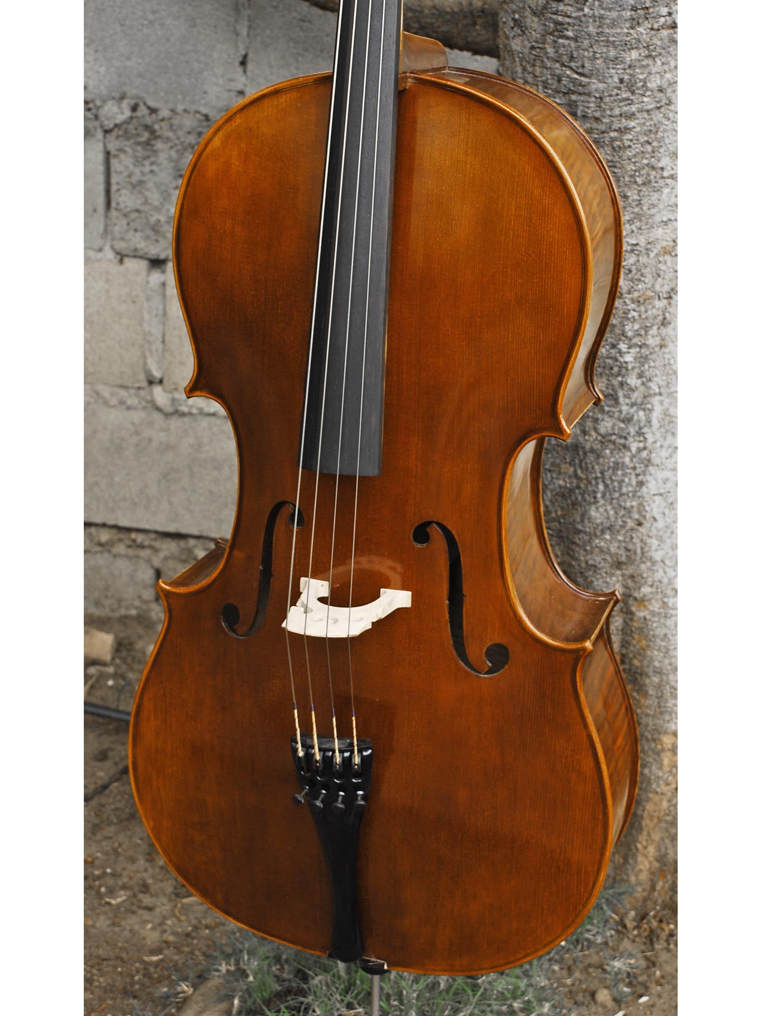 Vivo Strad model 100 3/4 Cello