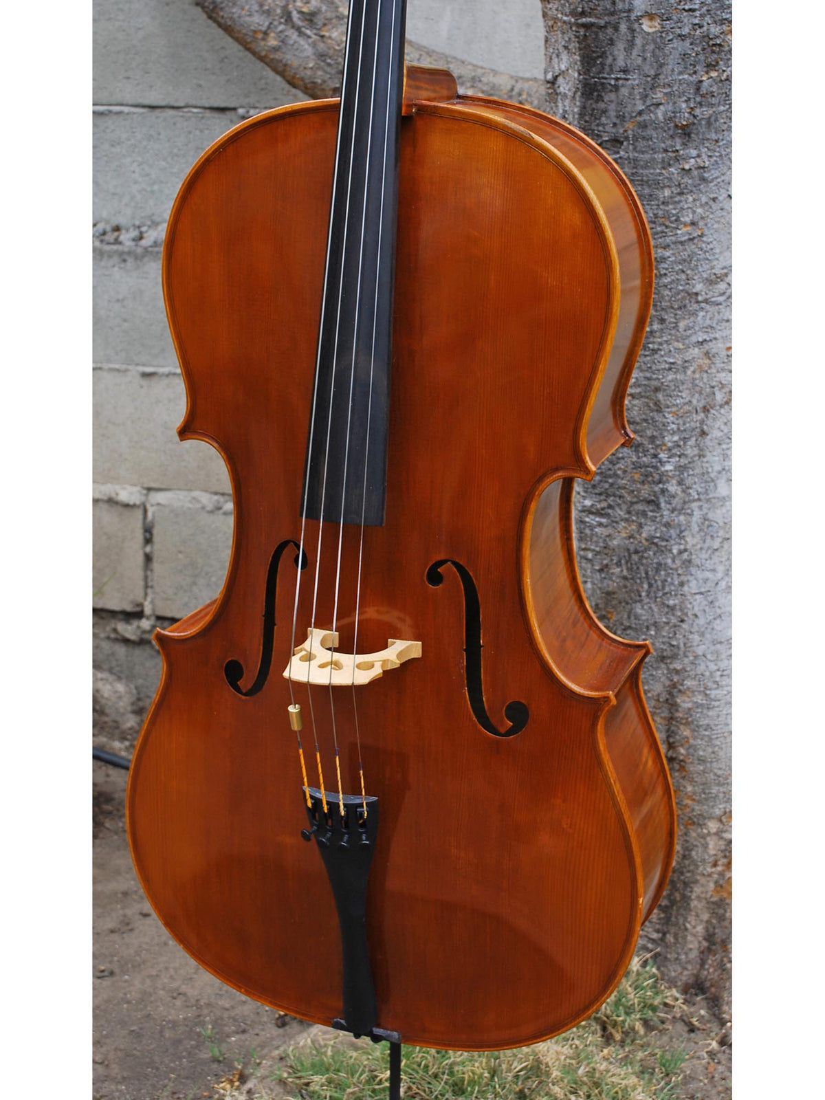 Wilhelm Klier Model 702 'Guarneri del Gesu' 4/4 Cello