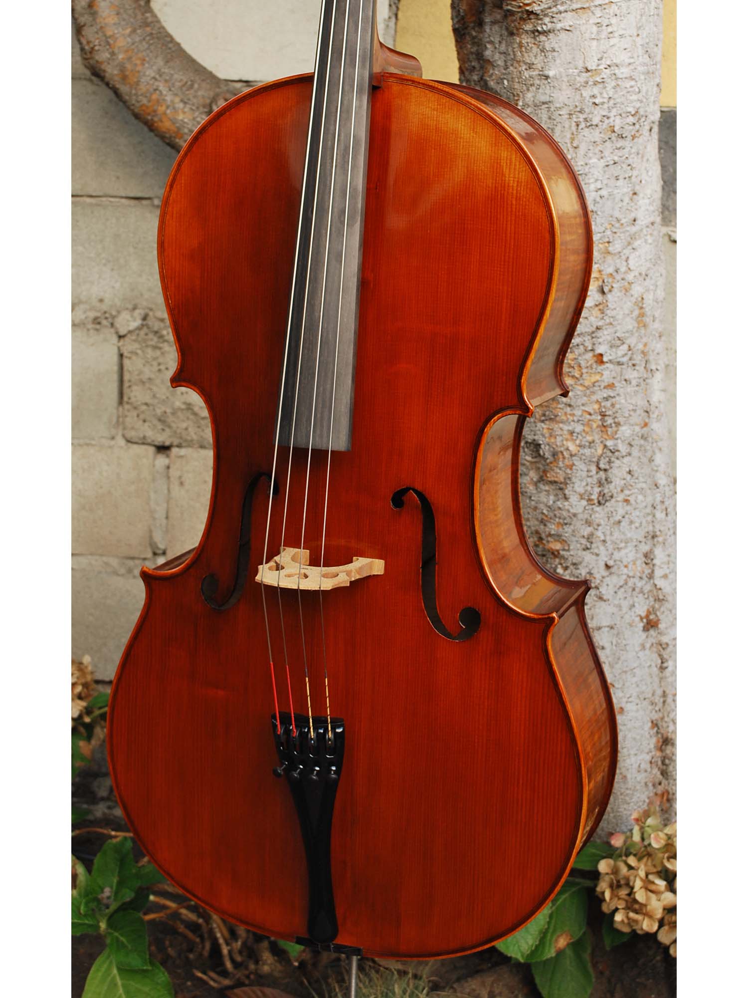 Angel Taylor model 320 7/8 Cello