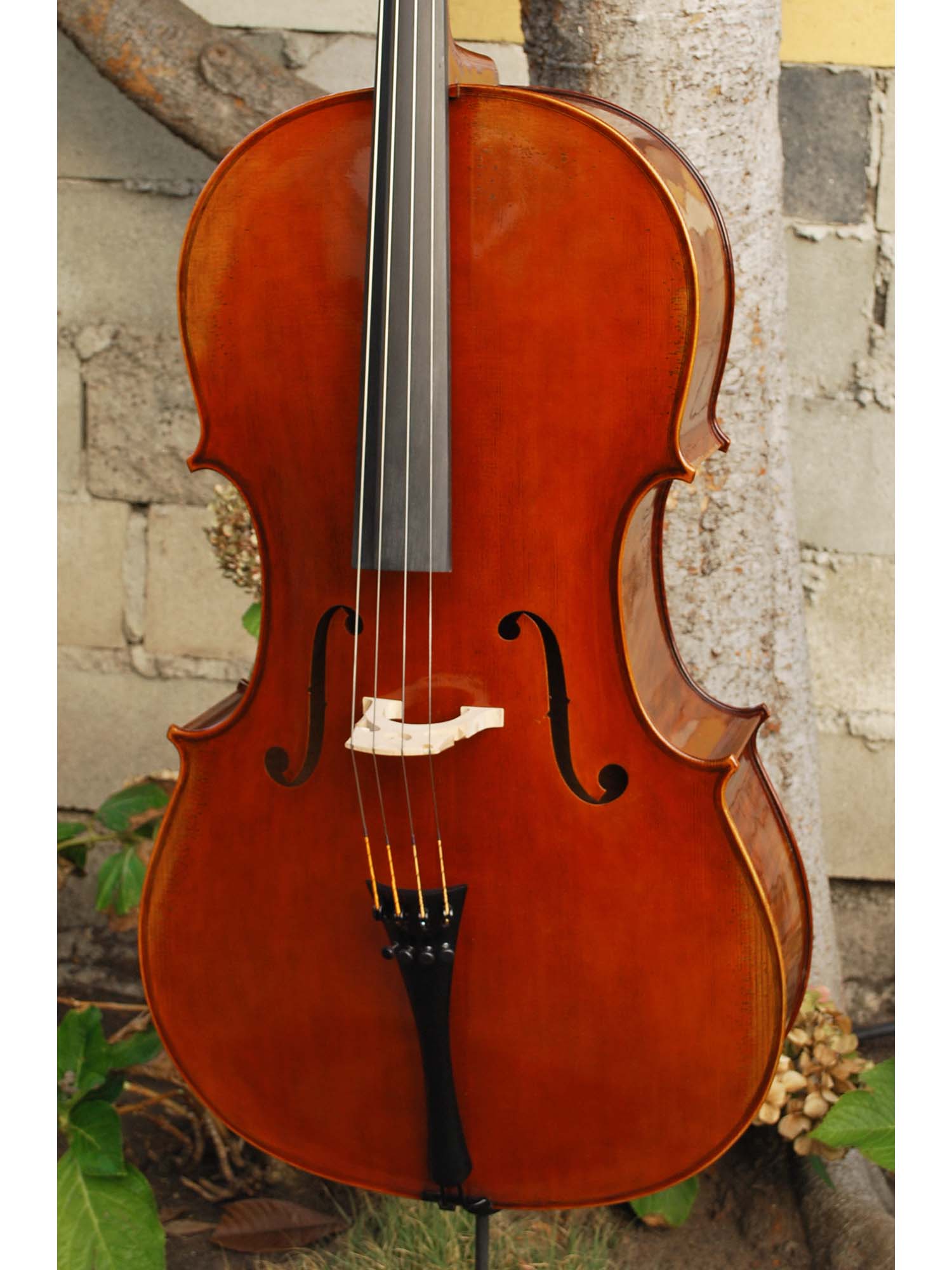 C. Callegari 'Gofriller 1693' Master Copy 4/4 Cello