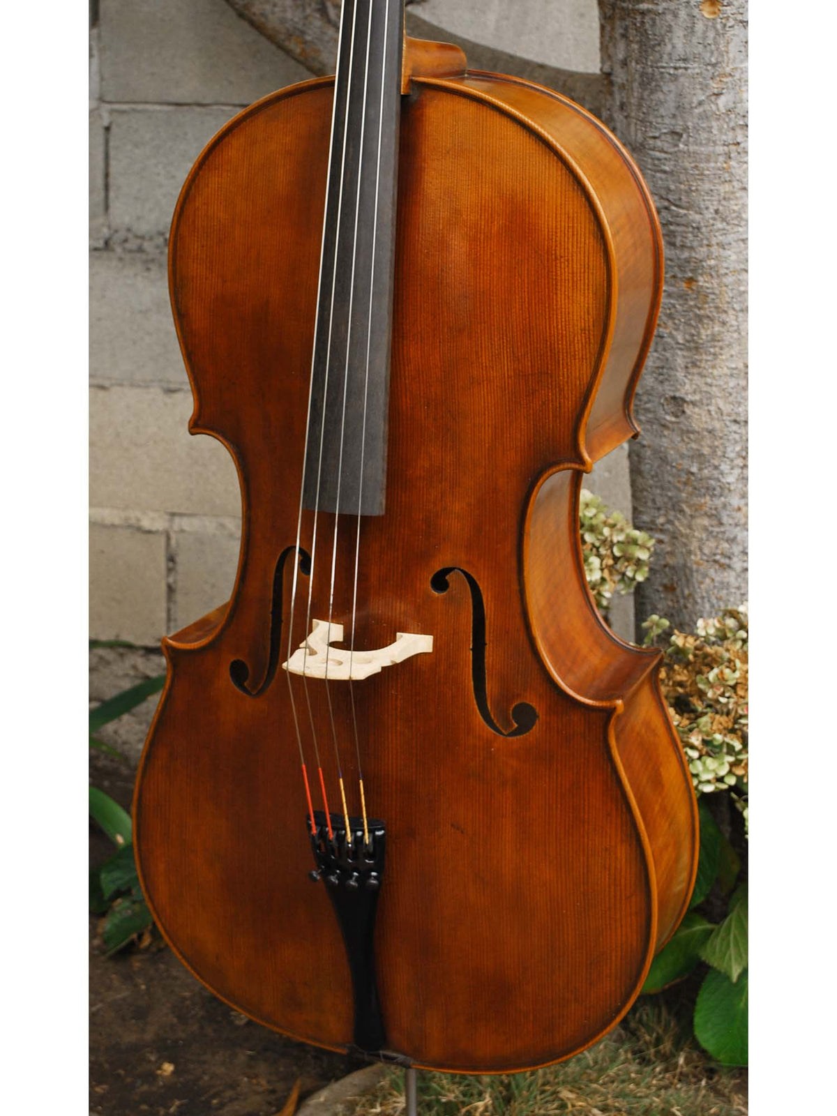 Thomas Hoyer - 4/4 Cello