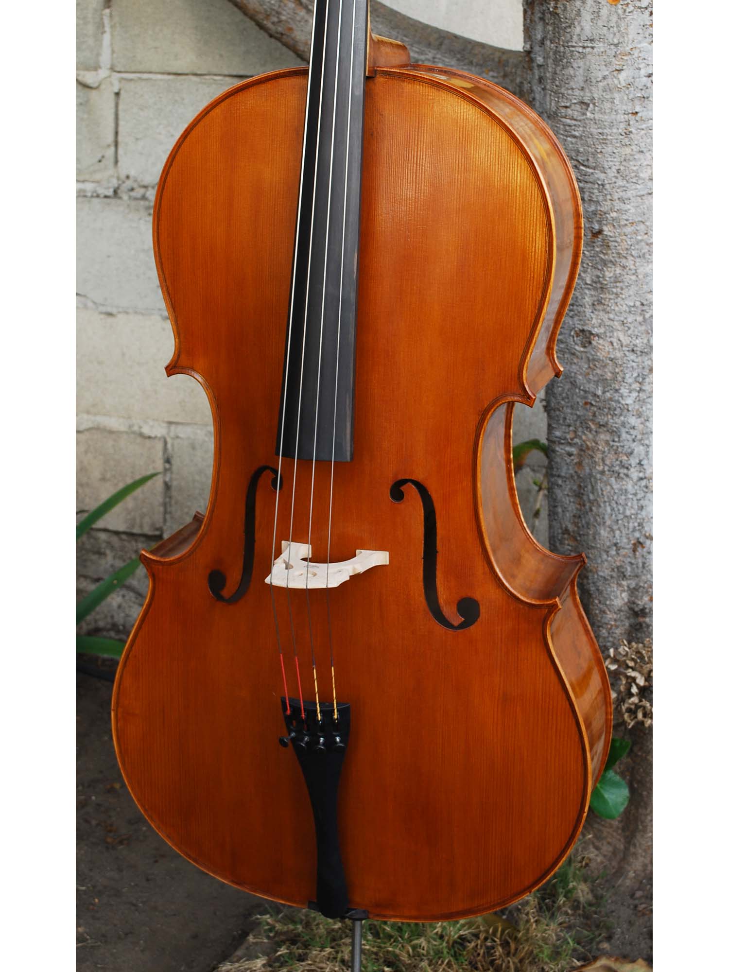Calin Wultur Model #6 Piatti Strad 4/4 Cello