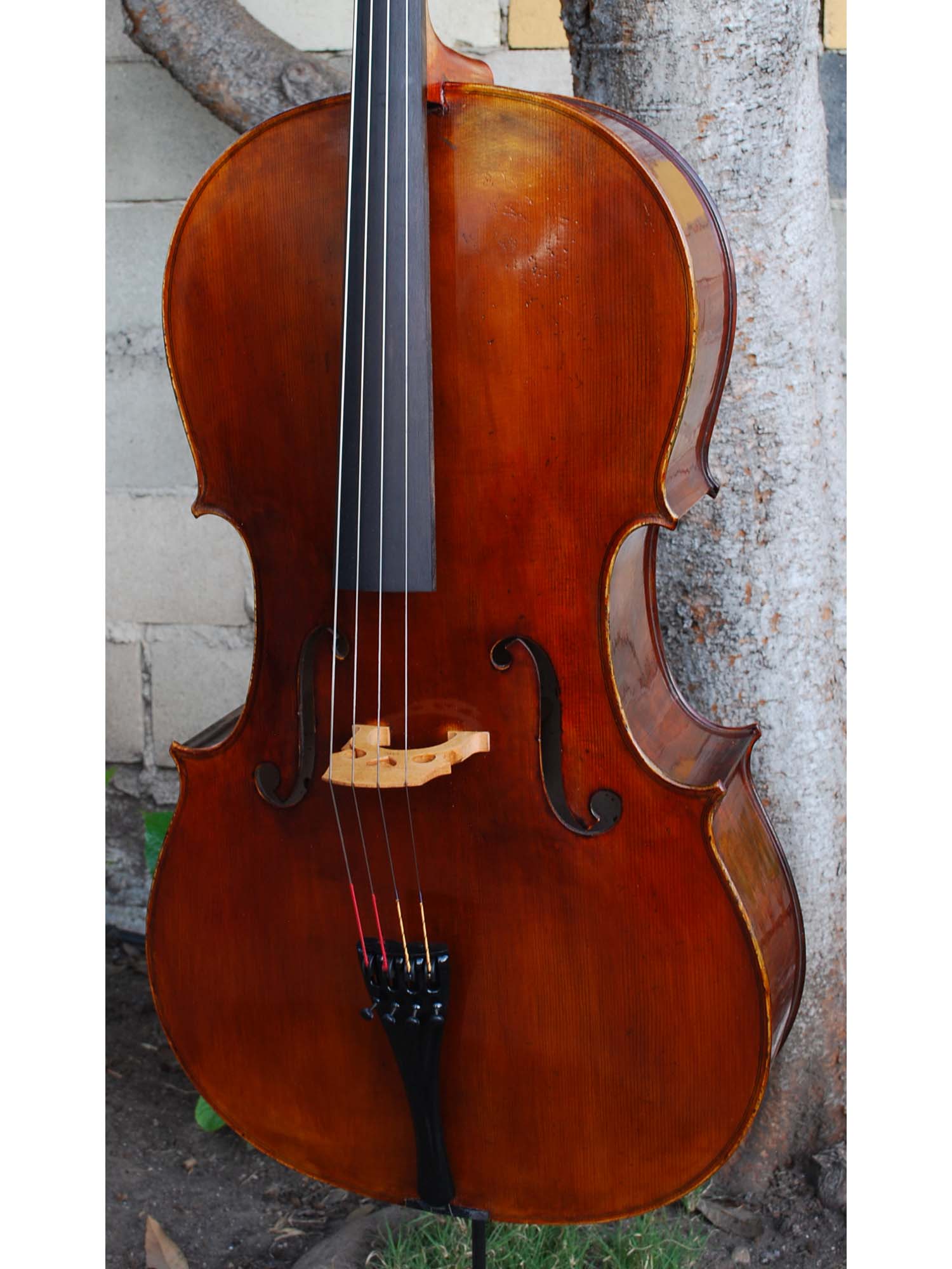 Johann Edler "Testore" 4/4 Cello