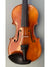 Vivo Zetoni 200 Violin 4/4 Violin