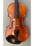 Vivo Zetoni 200 Violin 4/4 Violin