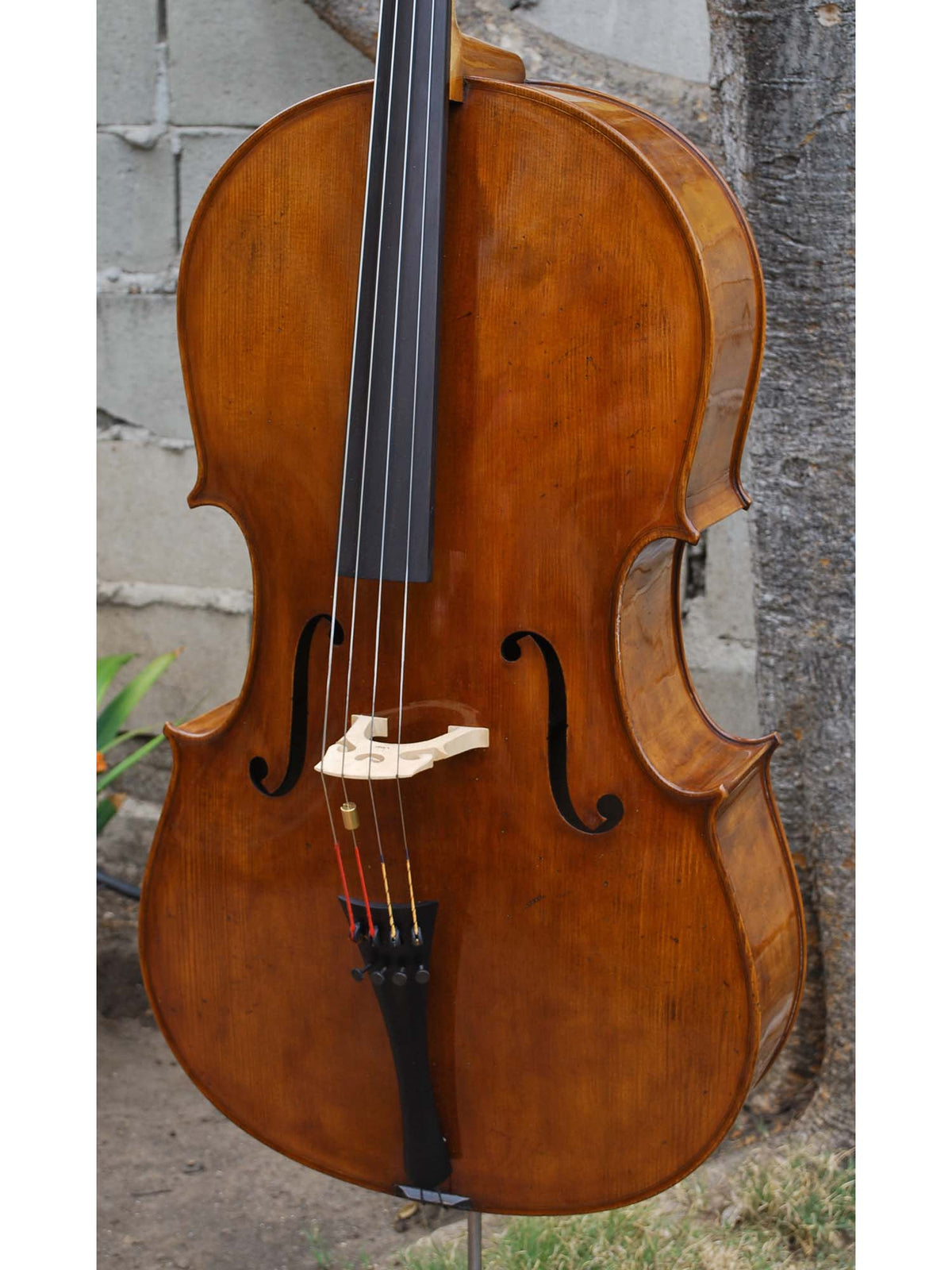 Topa Workshop Birdseye Maple 'Stradivari' 4/4 Cello