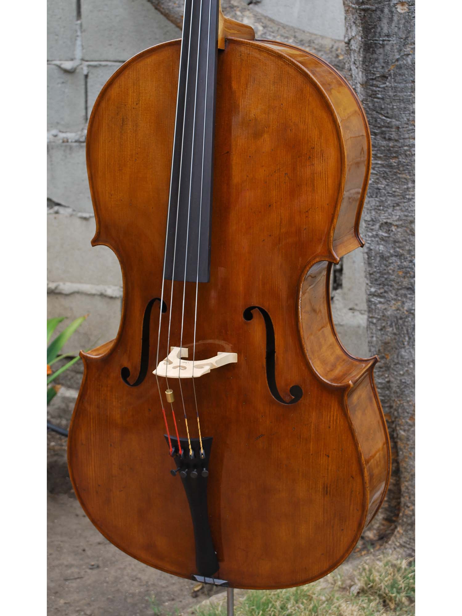Topa Workshop Birdseye Maple 'Stradivari' 4/4 Cello