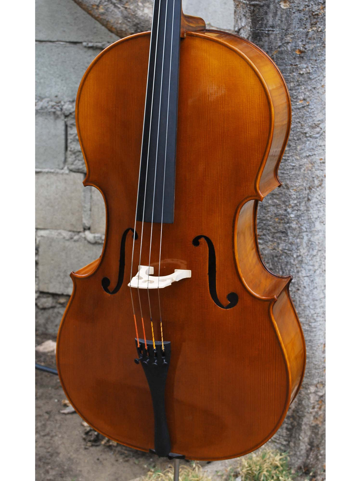 C.L. Wynn 520 'Strad' 7/8 Cello (0726)