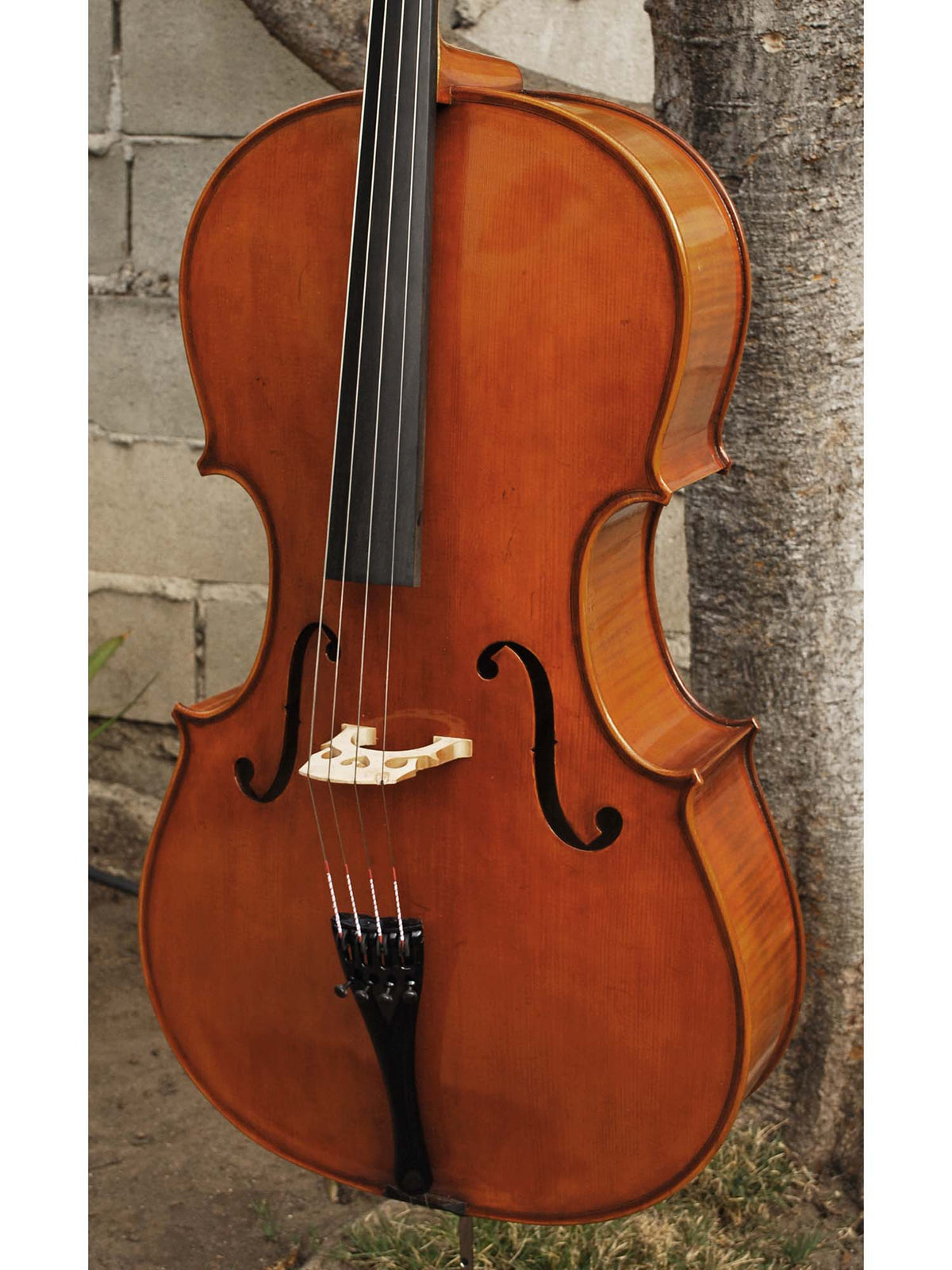 Eastman model 830 Poplar Gagliano pattern 4/4 Cello