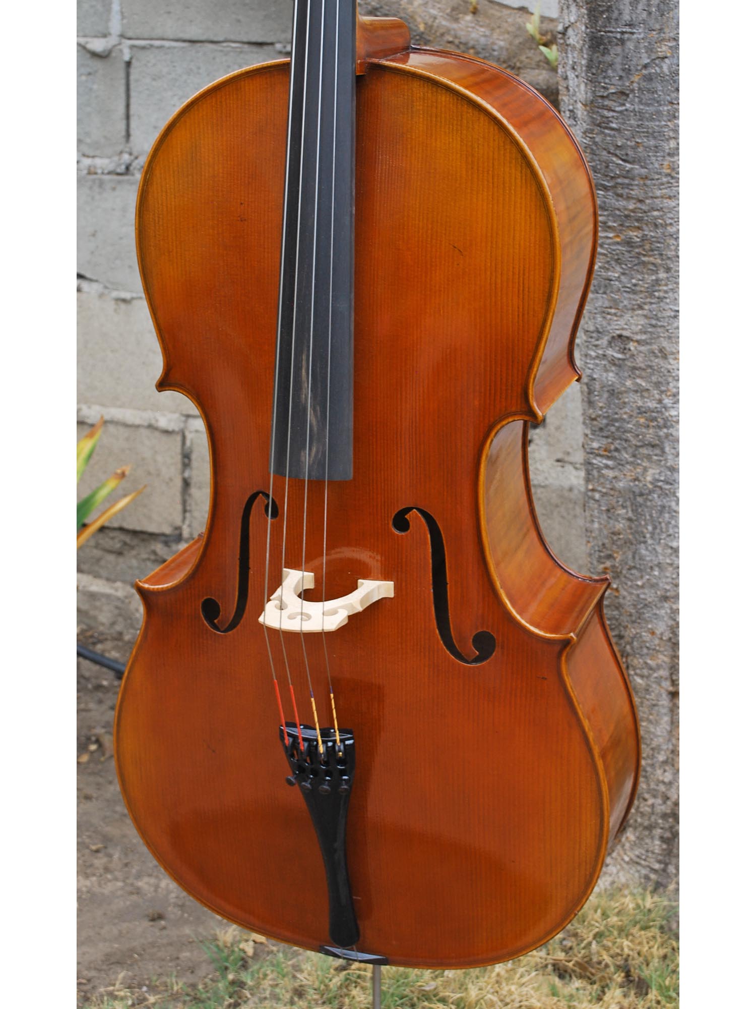 Hans Werner 725 'Master' 4/4 Cello
