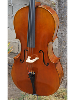 Hans Werner 725 'Master' 4/4 Cello