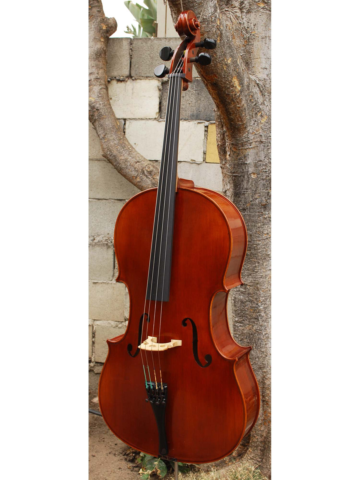 Viktor Resca #5 (Romania) - 7/8 Cello