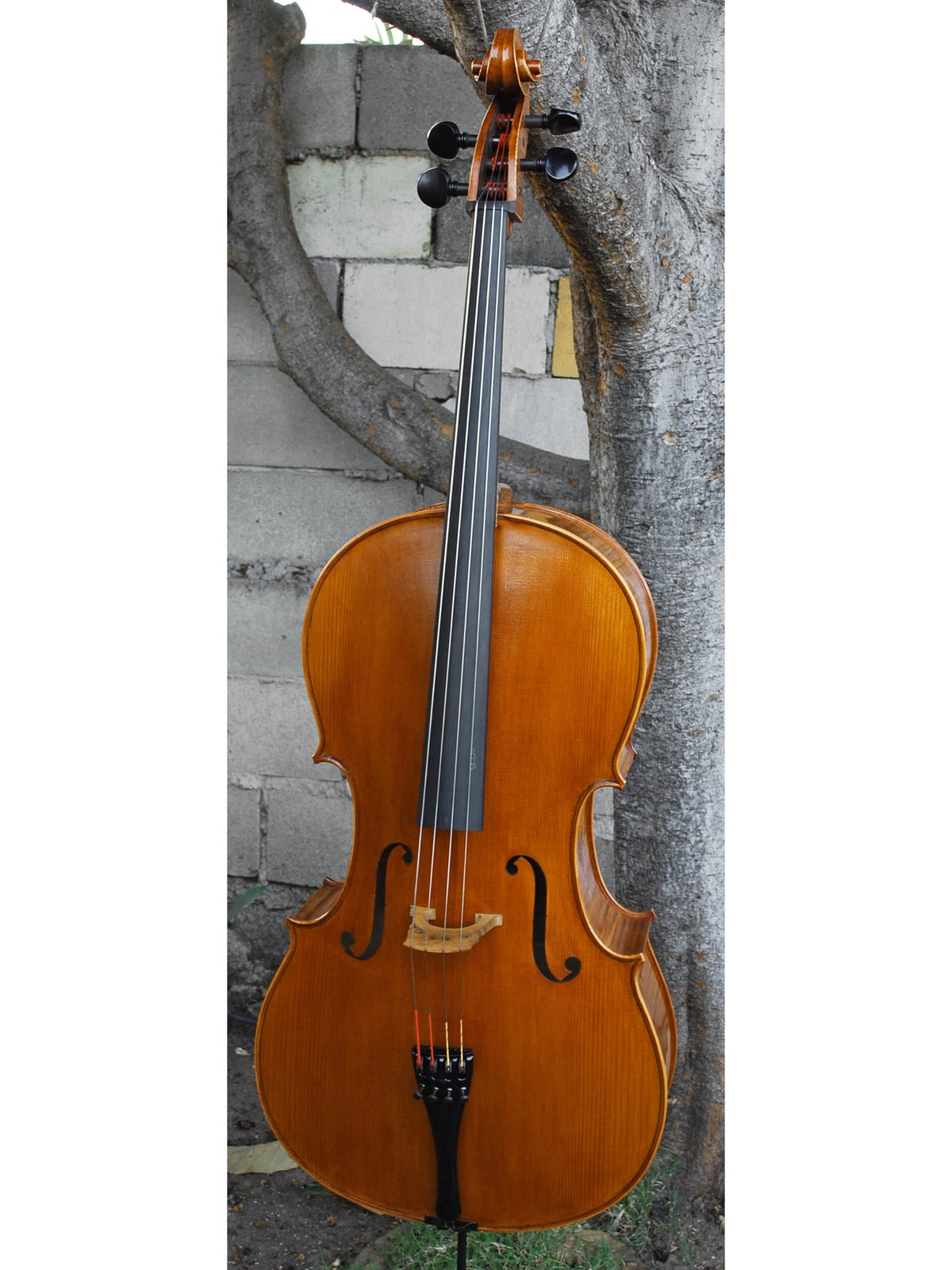 Victor Resca Model #7 4/4 Cello "BFF"